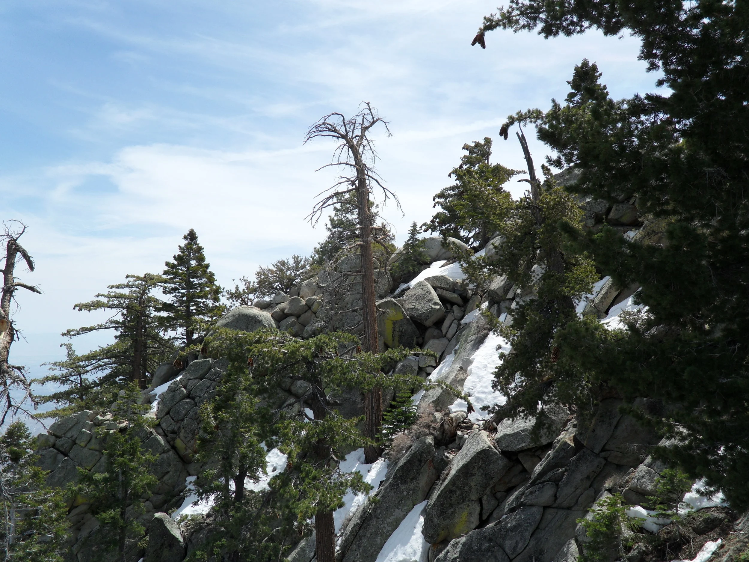 Mt San Jacinto 1.JPG