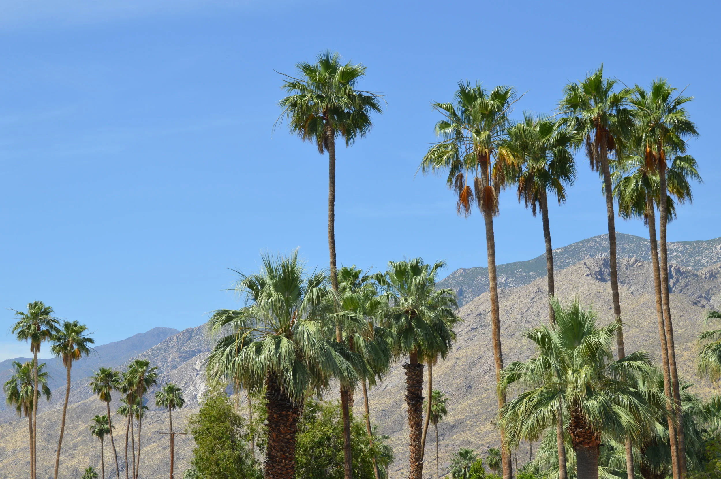 Palm Springs - 177.JPG