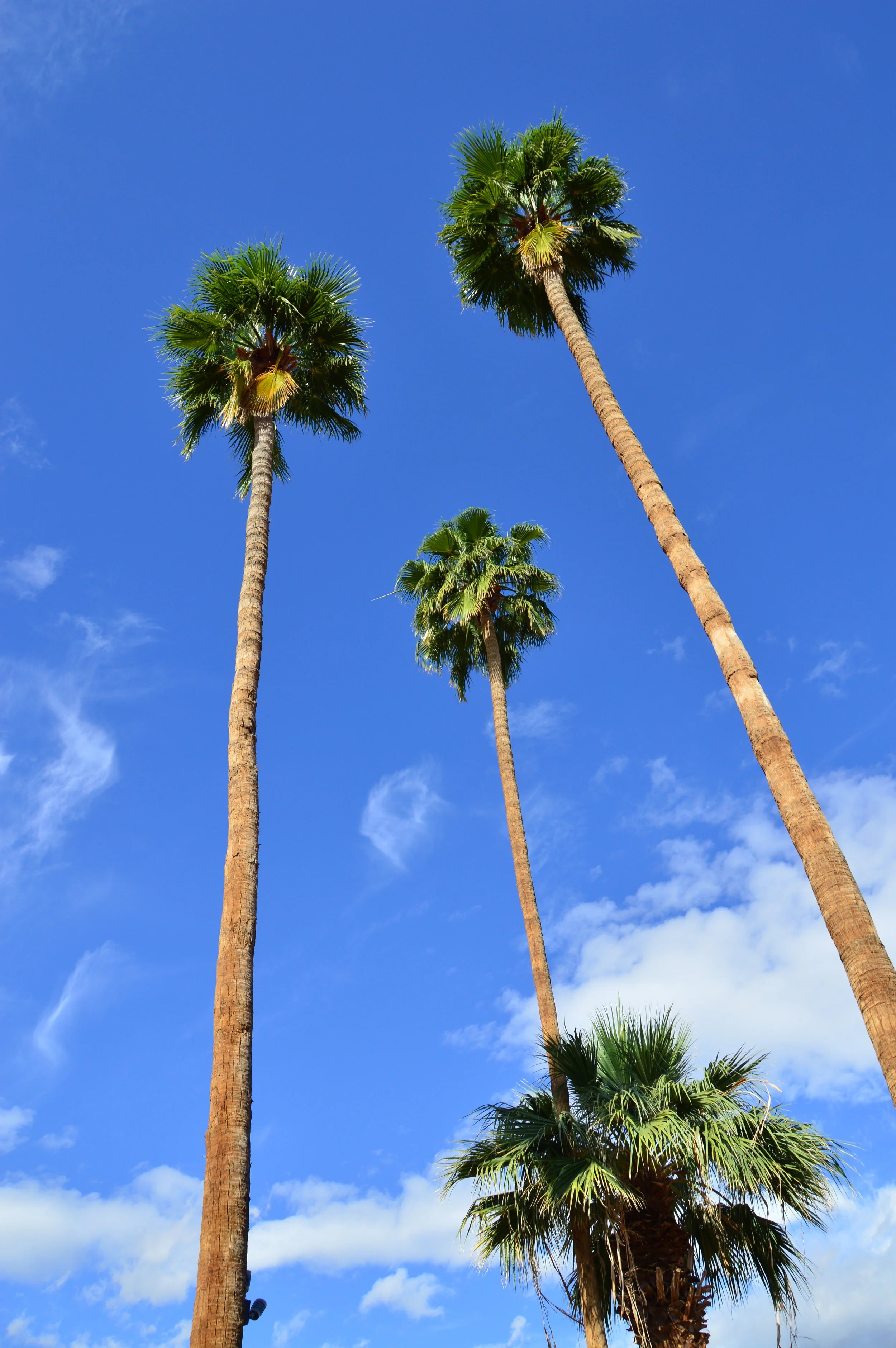 Palm Springs - 168.JPG