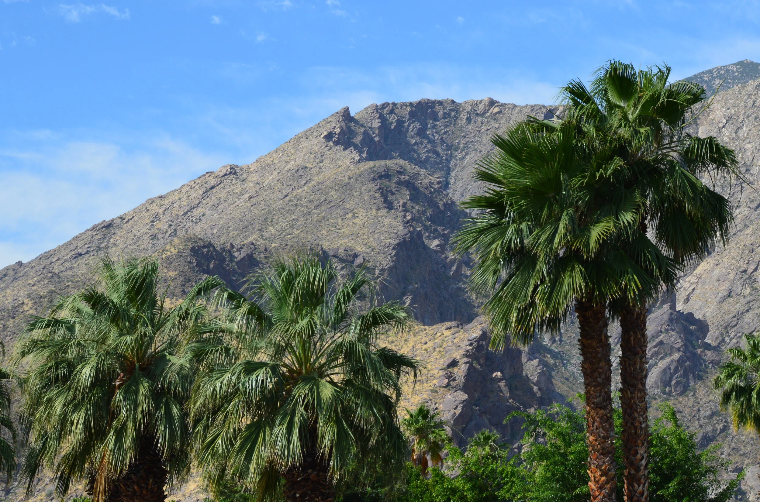 Palm Springs - 189.JPG