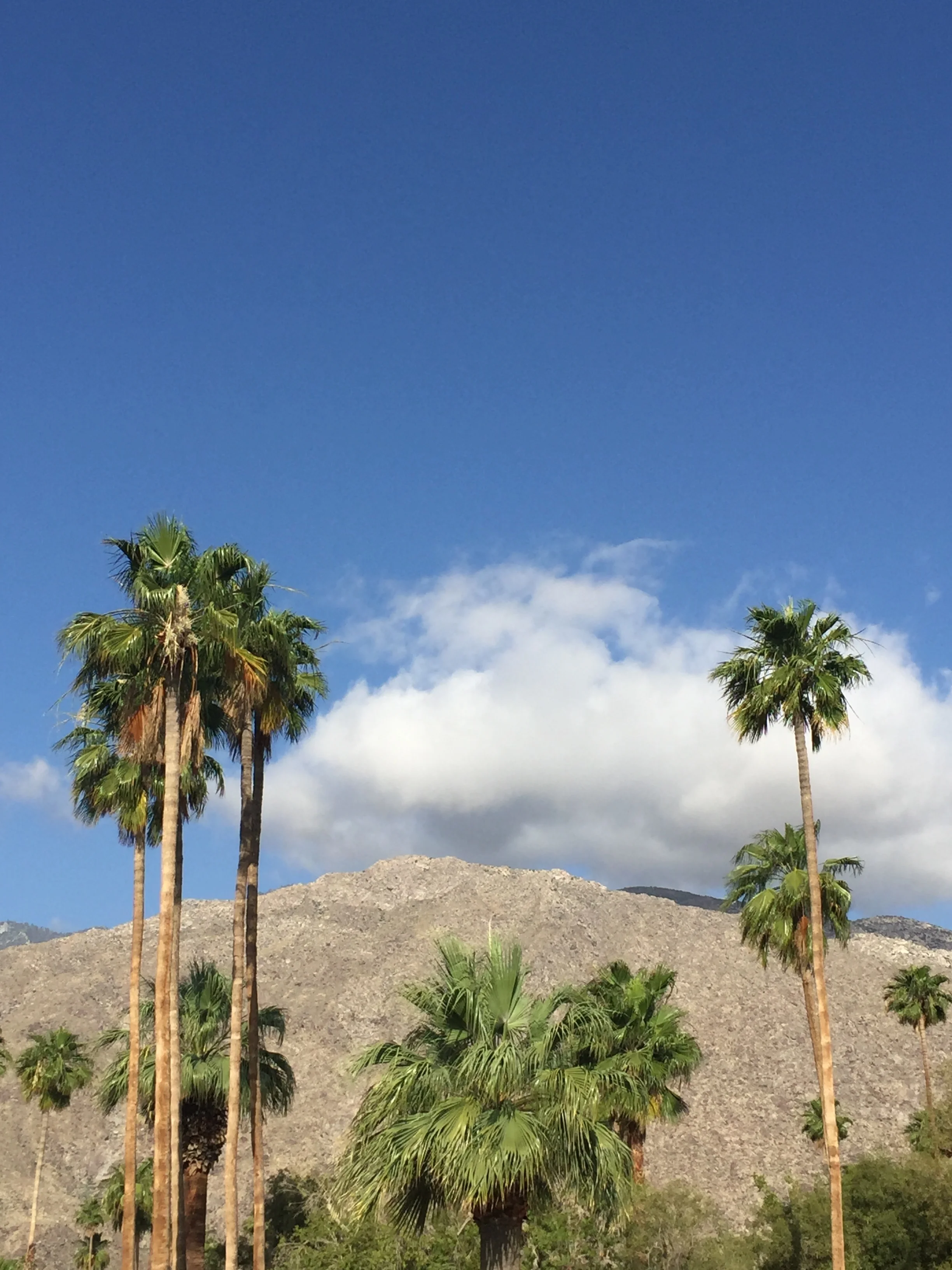 Palm Springs -2024.JPG