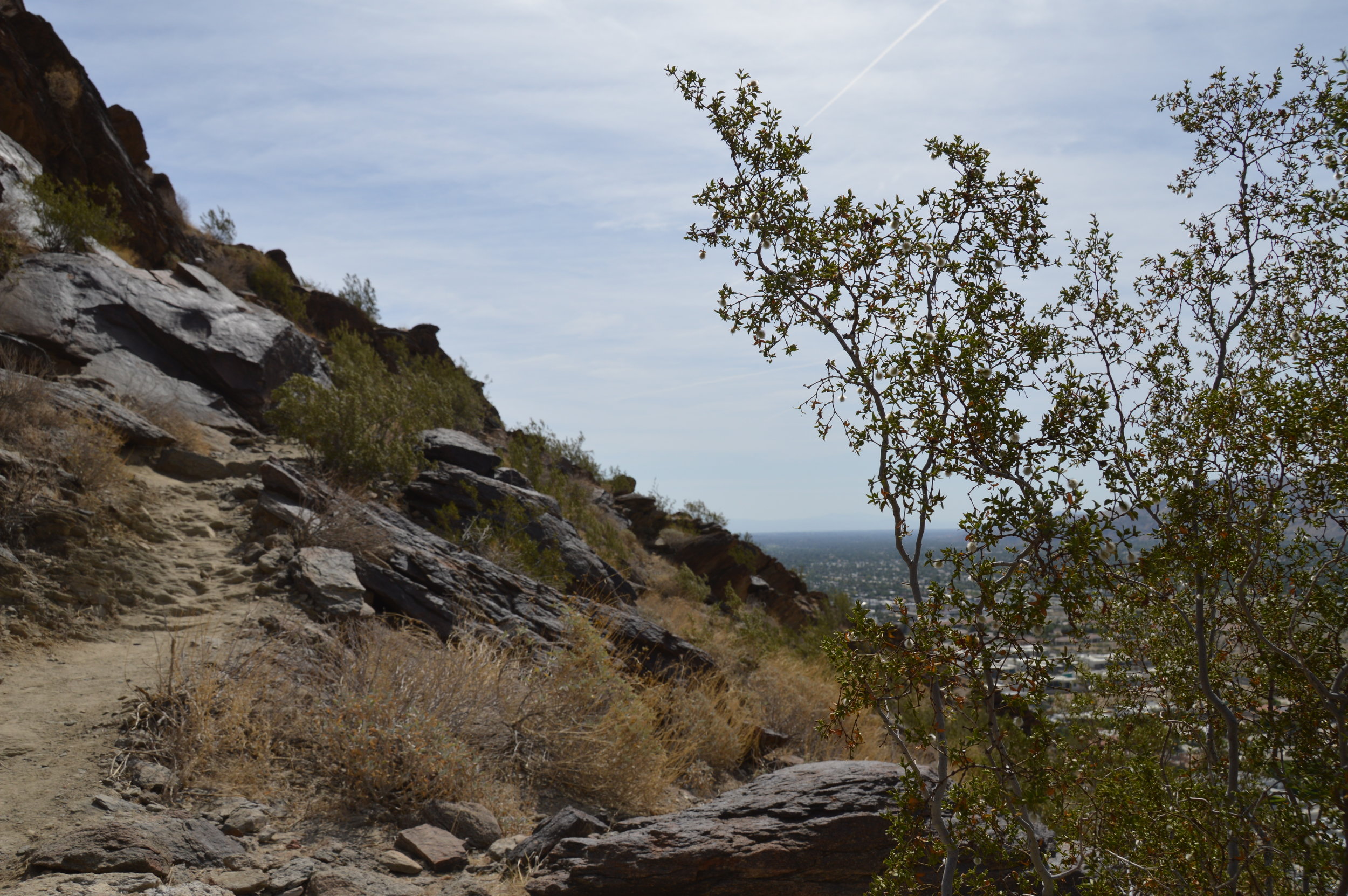 North Lykken Trail_0713.JPG