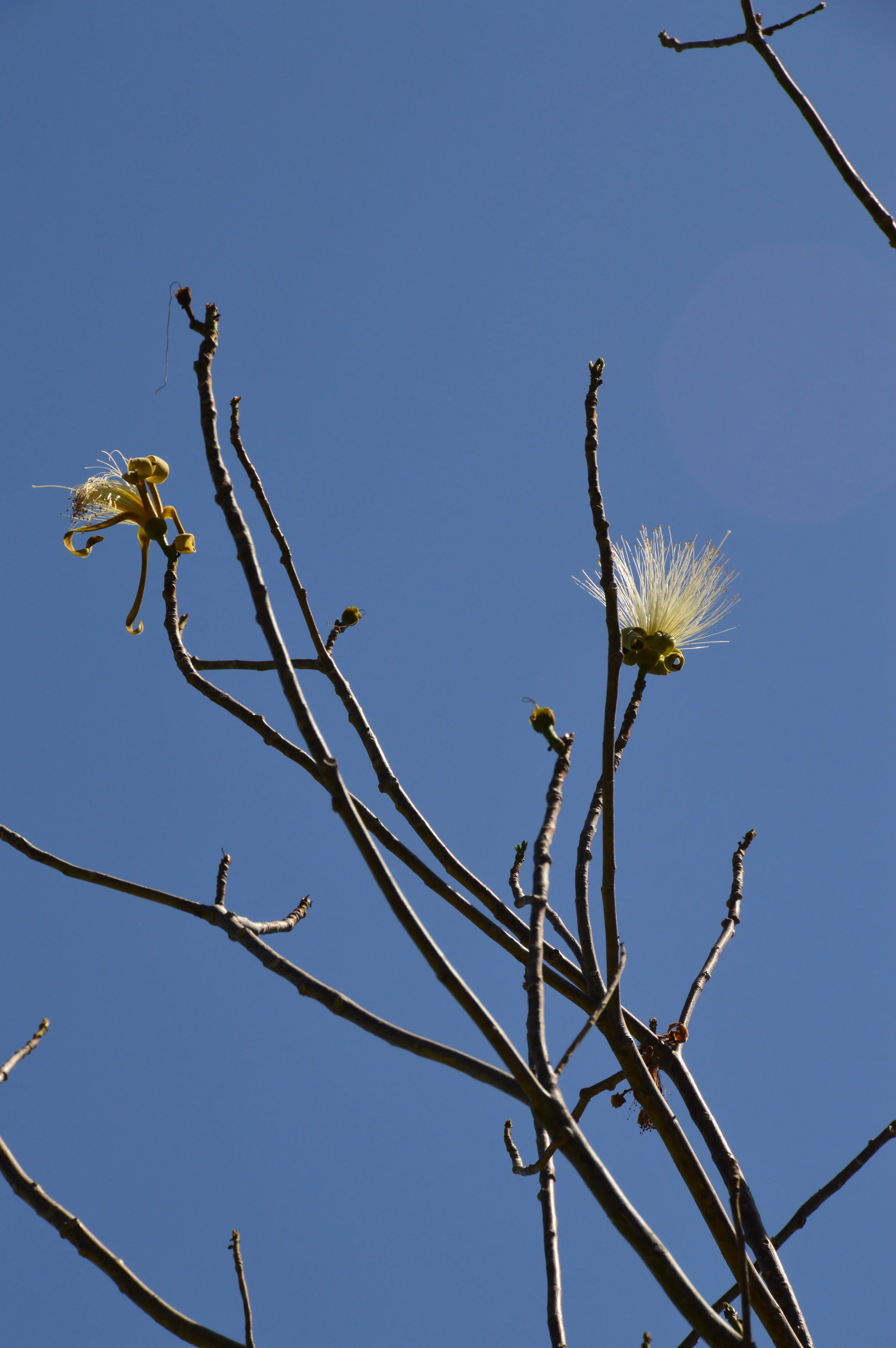 DSC_0668.JPG