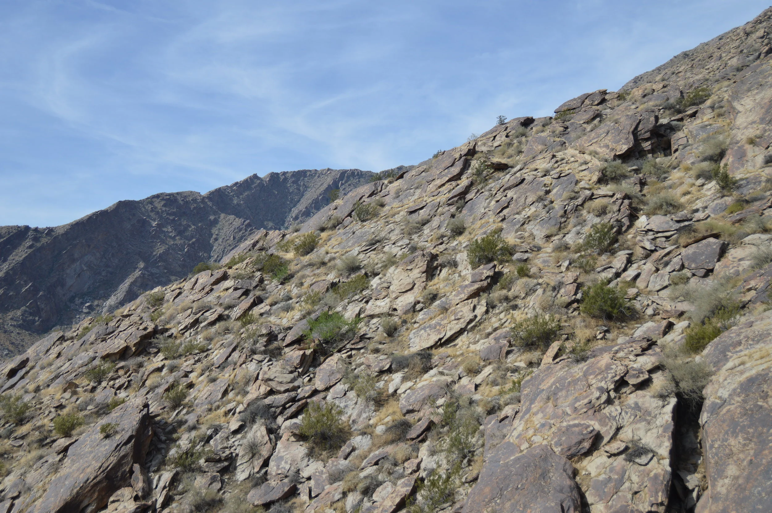 North Lykken Trail_0710.JPG