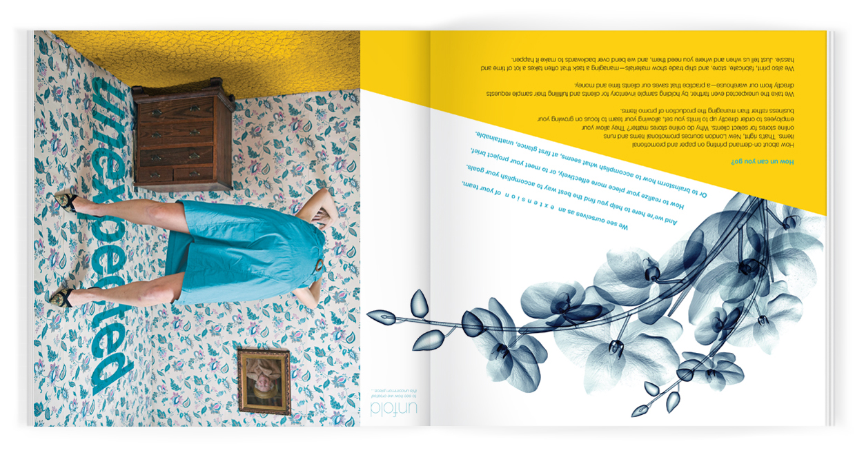 NL Brochure_0006_Layer Comp 7.jpg