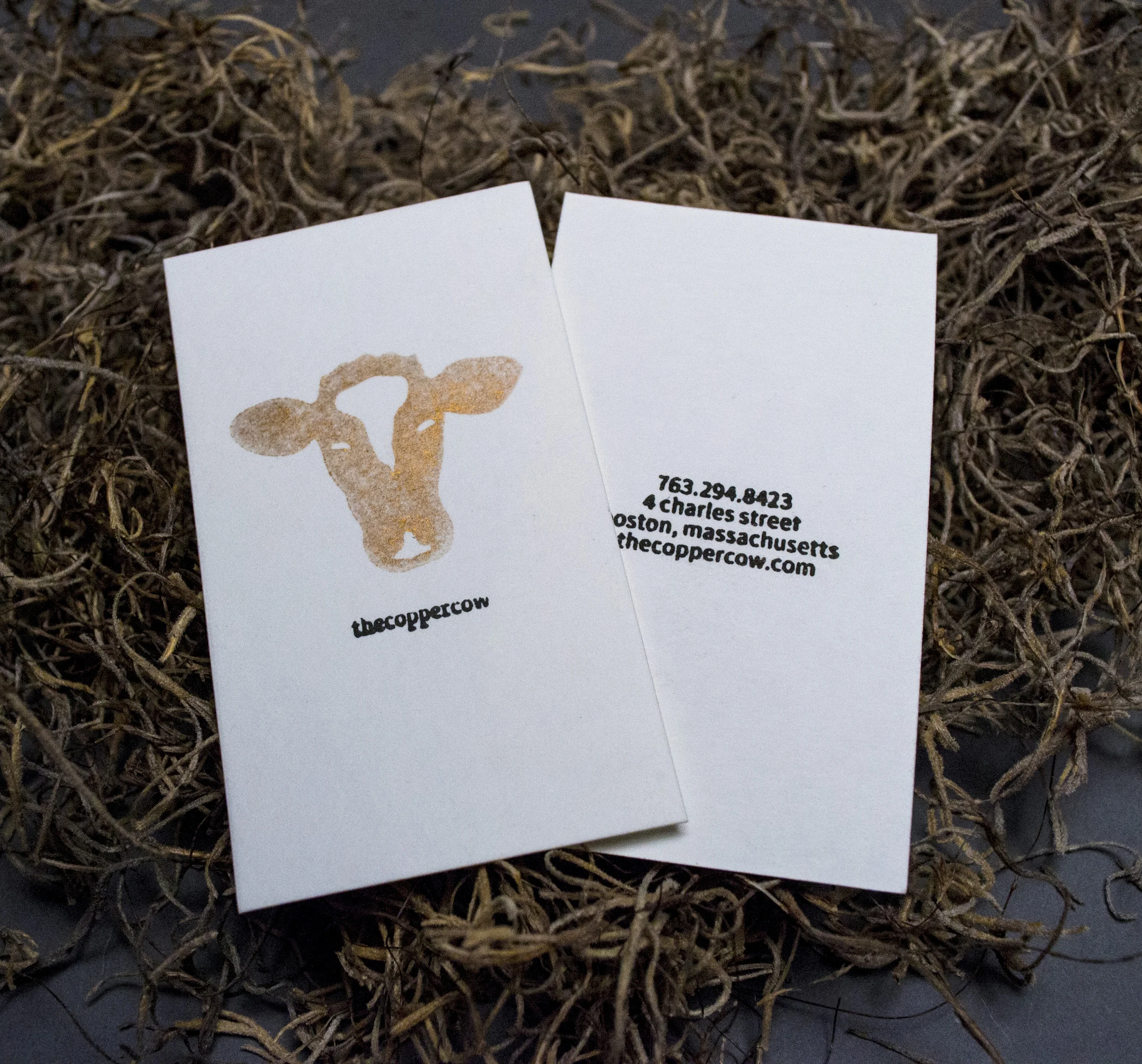  Concept &amp; Branding | The Copper Cow Taproom 