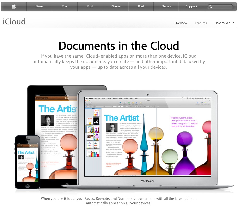 Apple_Screen Shot copy.jpg