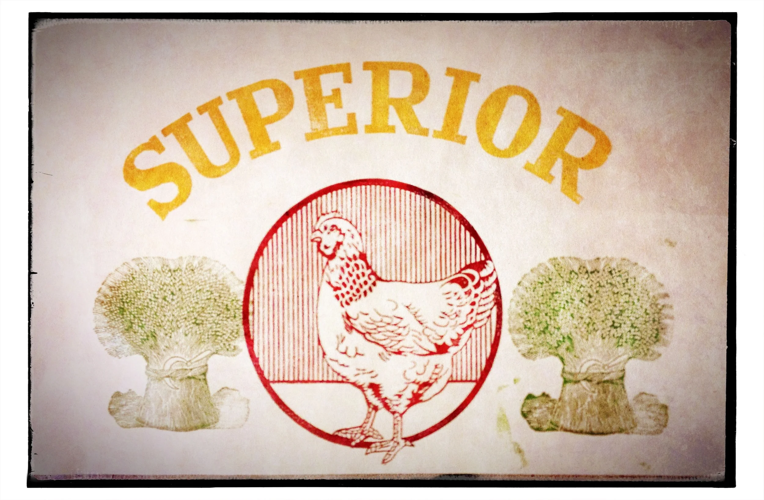   Superior , unique print, 11" x 14", 2013 