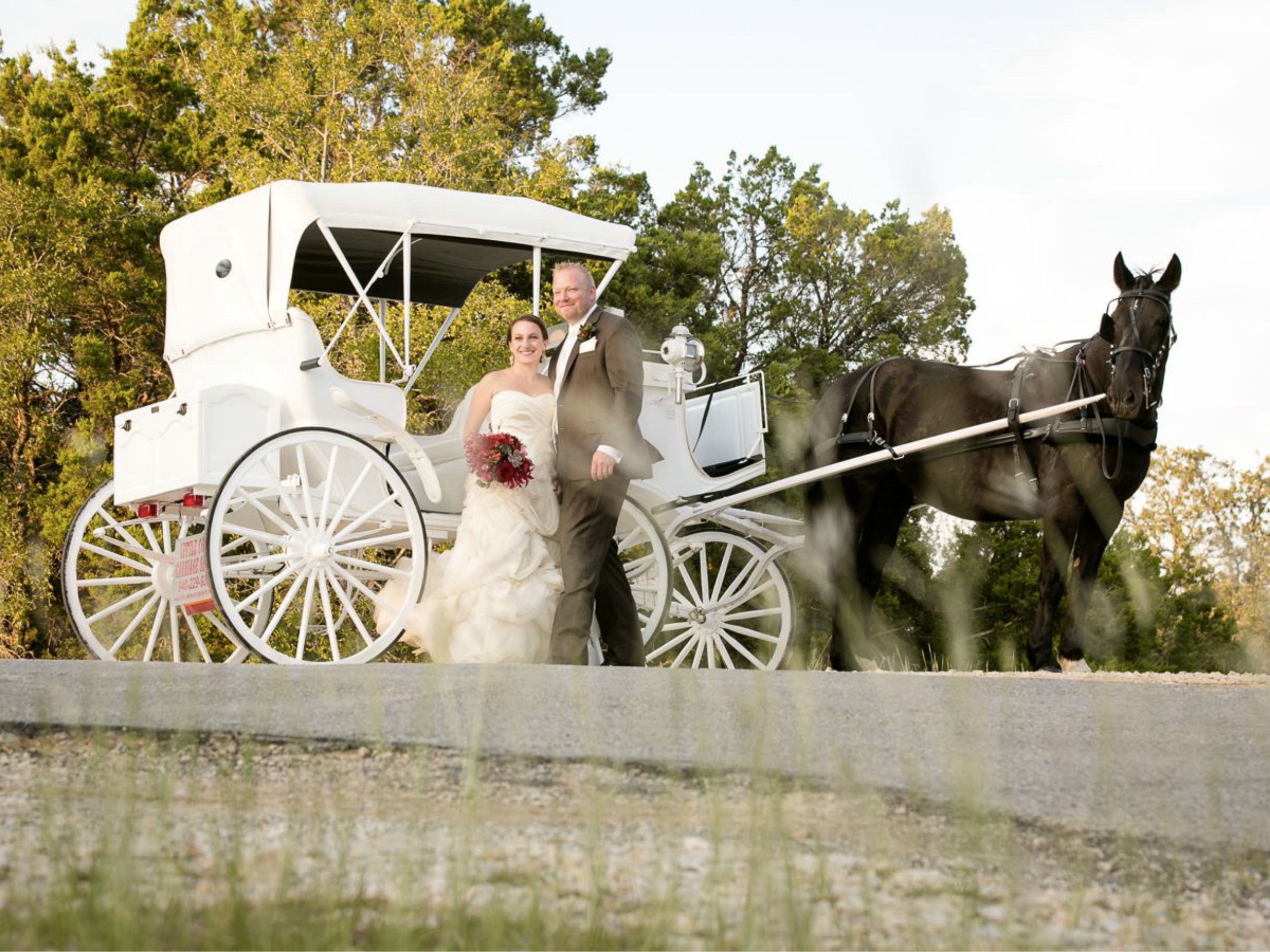 Carriage at the Pavilion