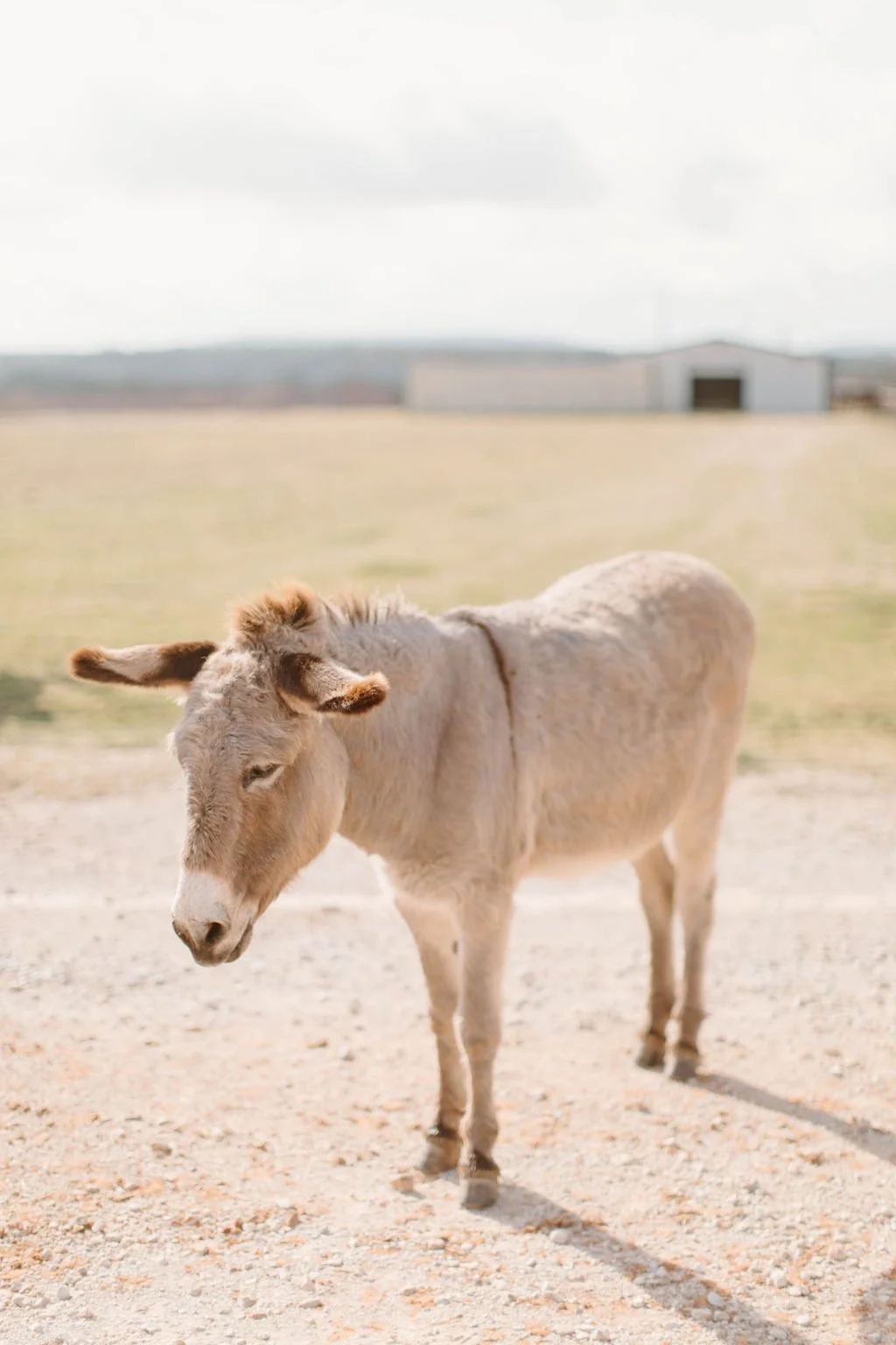 Wildcatter-Feb2025-AstonePhoto-9616.jpg