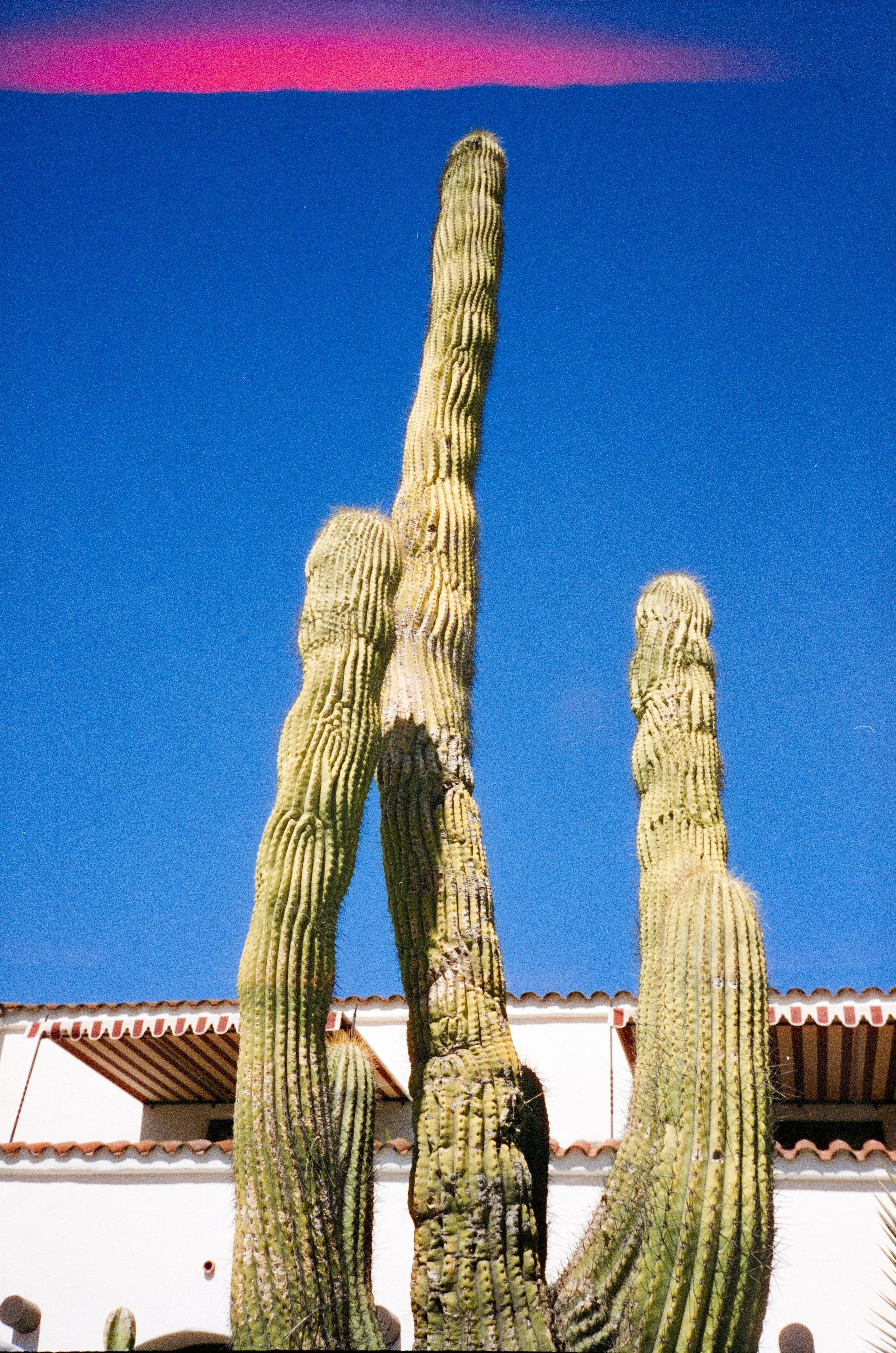 JLY_Film_EastmanKodak 5207 Daylight 200 Motion Picture Film--2.jpg