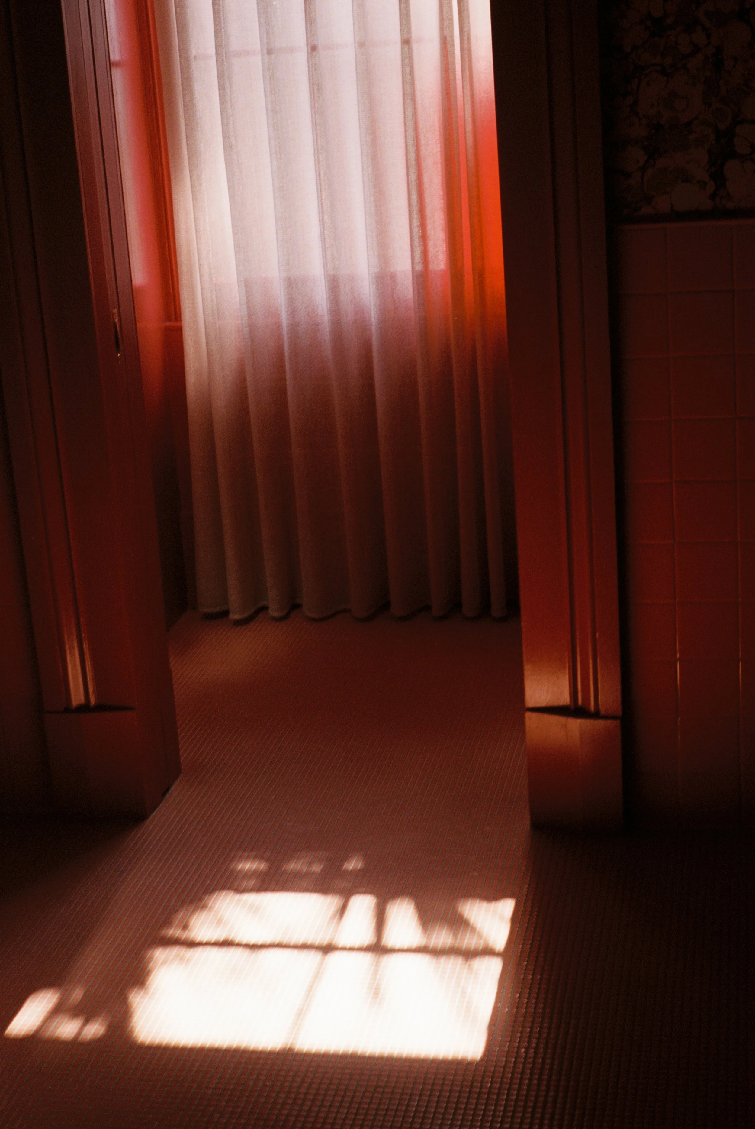 2021-08-31 20.11.05.jpg