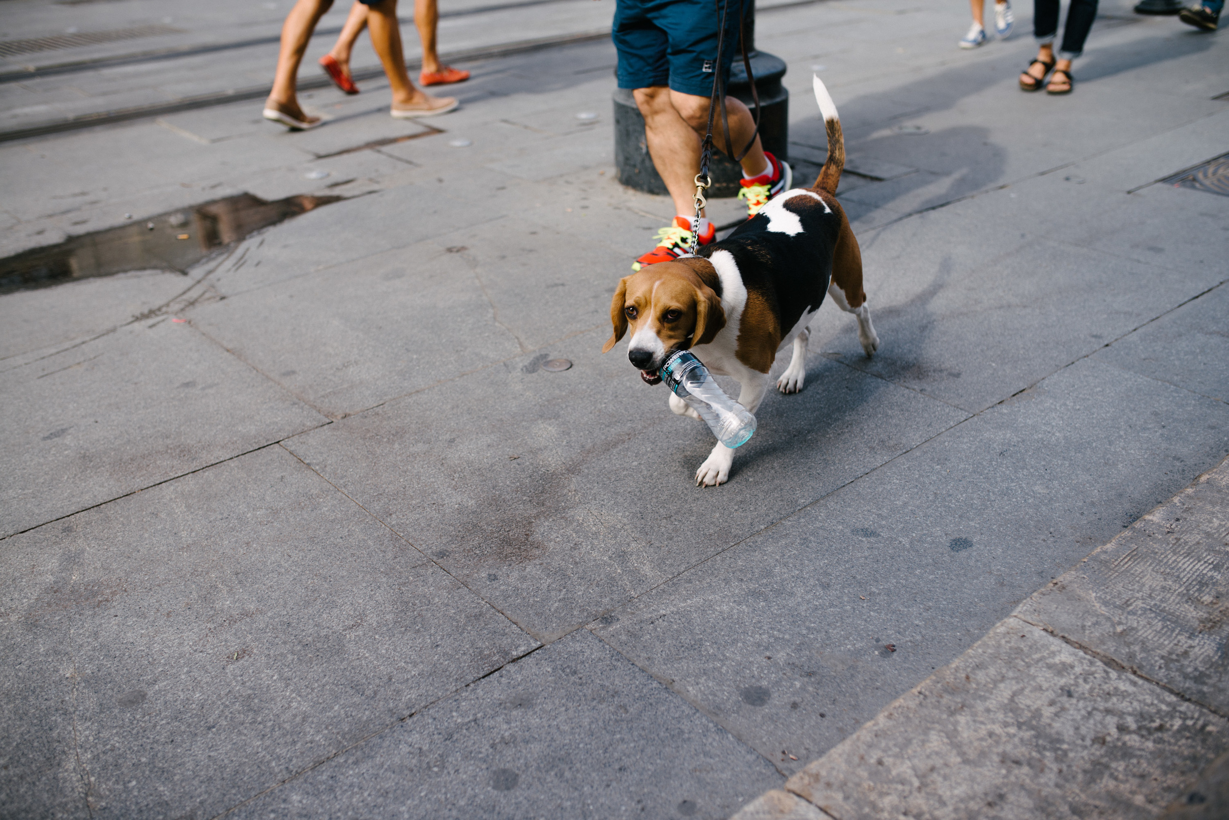 DSC_3038.jpg