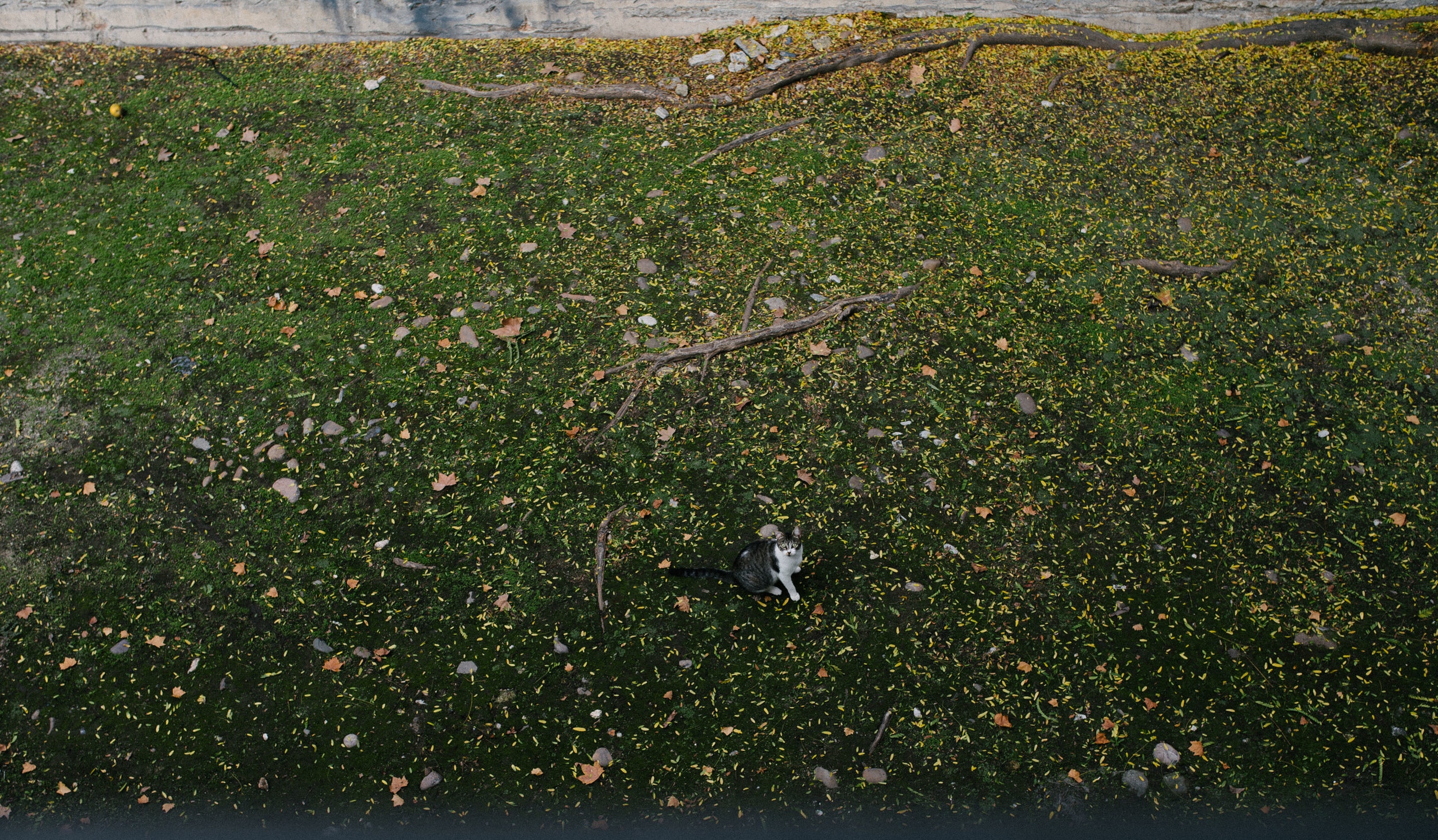 DSC_2776-3.jpg