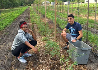 University of Tampa Bonner Leaders Work to Serve
