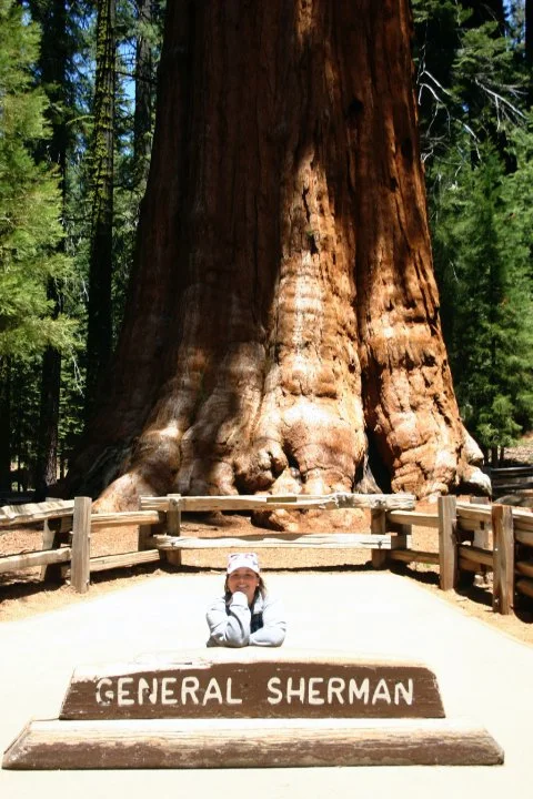 General Sherman.jpg