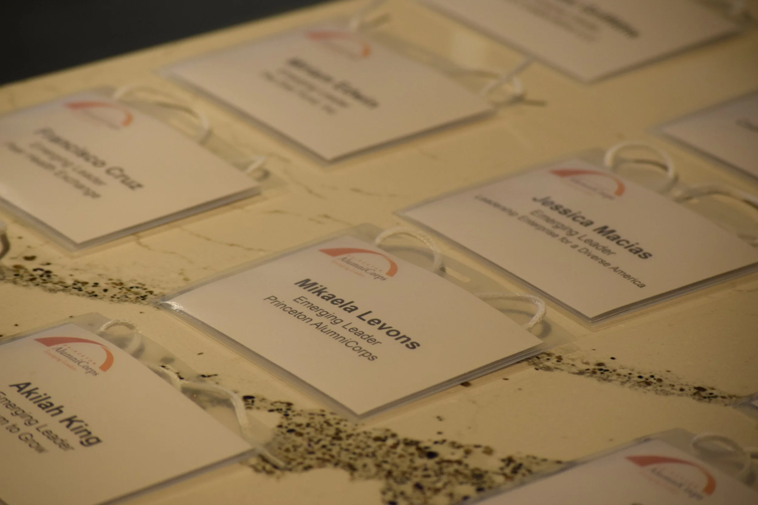 Accepting Applications: Princeton AlumniCorps Emerging Leaders