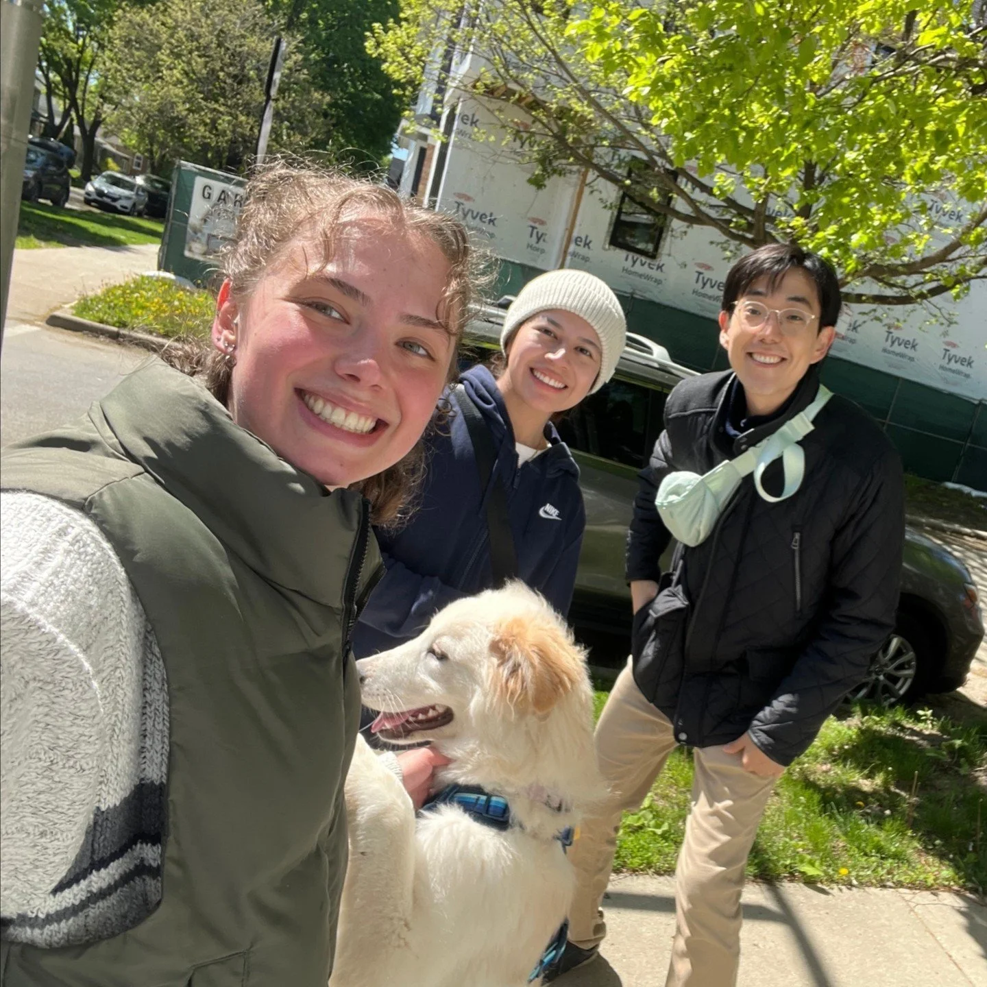 Bonner alumni from different Bonner programs, University of Richmond and Macalester College, came together in Chicago for a hands-on service day with Chicago Canine Rescue&mdash;walking pups Dusk, Okra, and Porcini while strengthening community ties.
