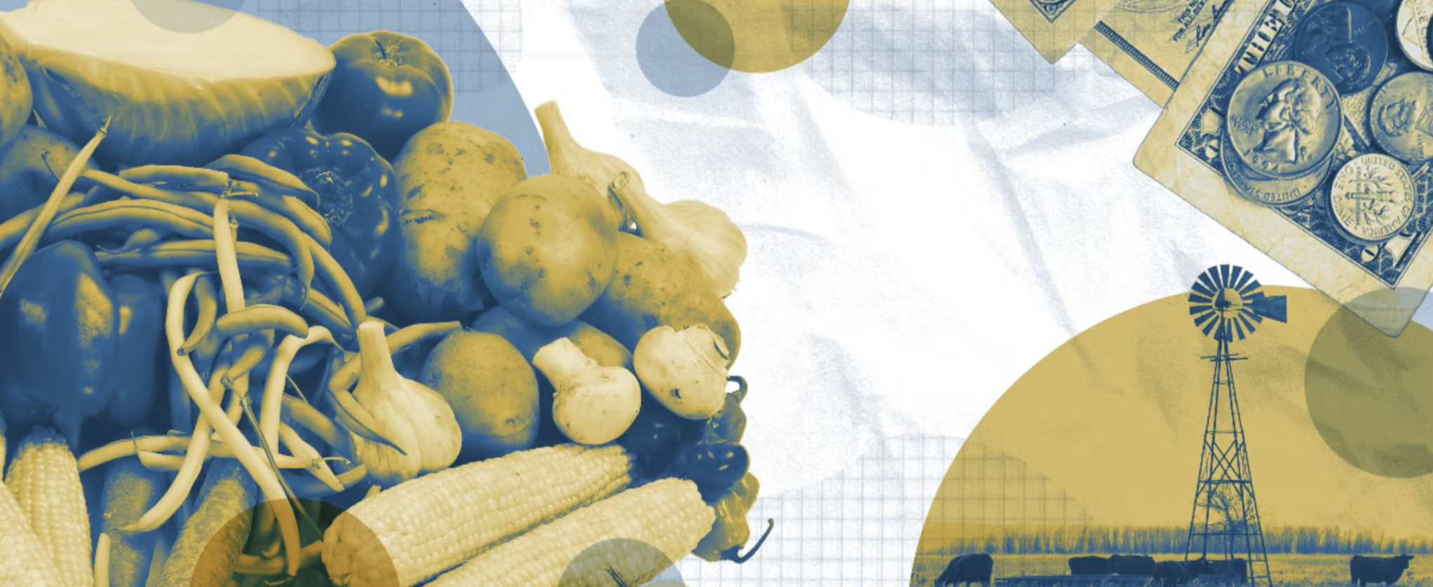 Explore Zero Hunger Academy: Free, Self-Paced Courses on Hunger &amp; Advocacy