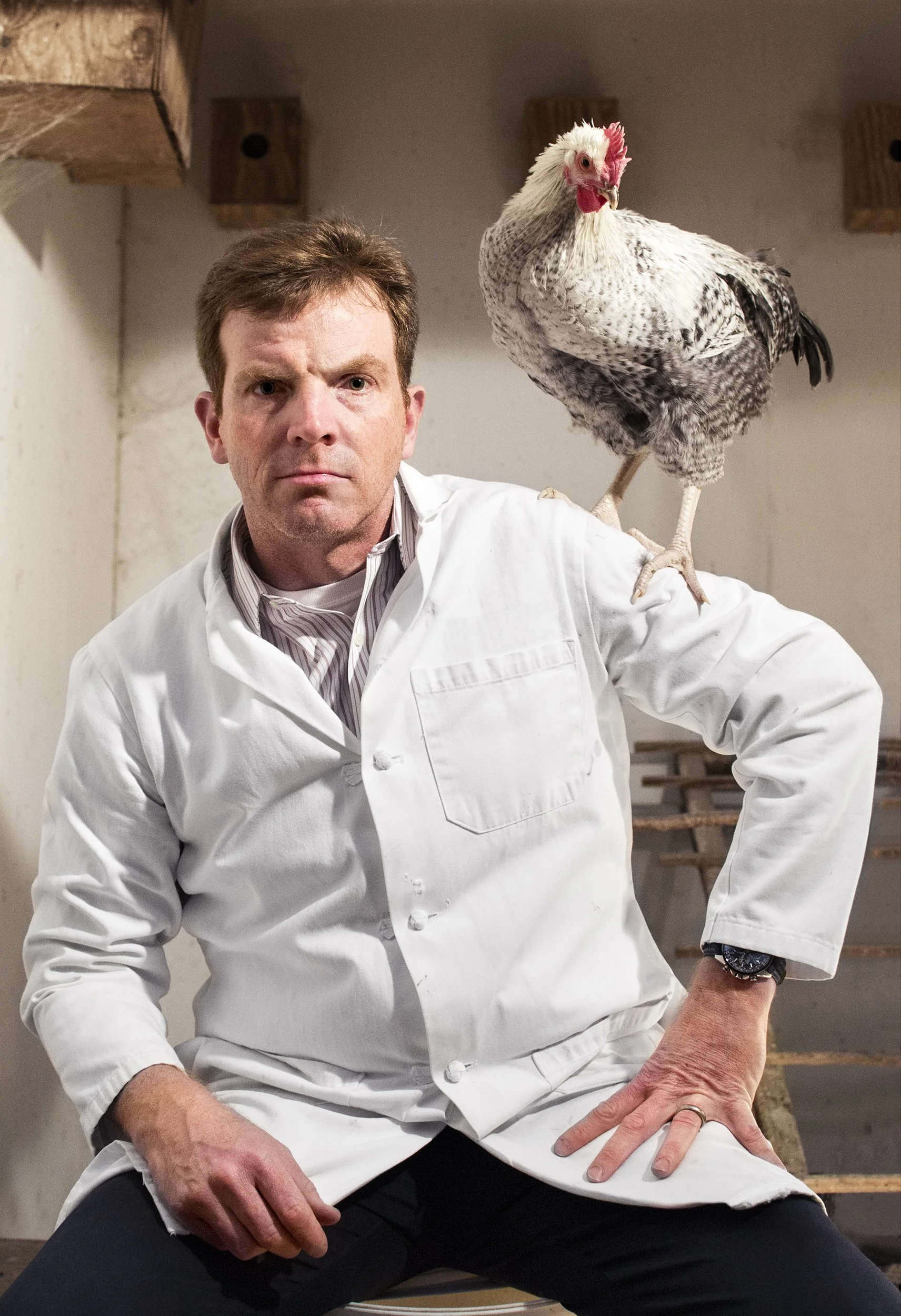 ADAME CHICKEN 2.jpg