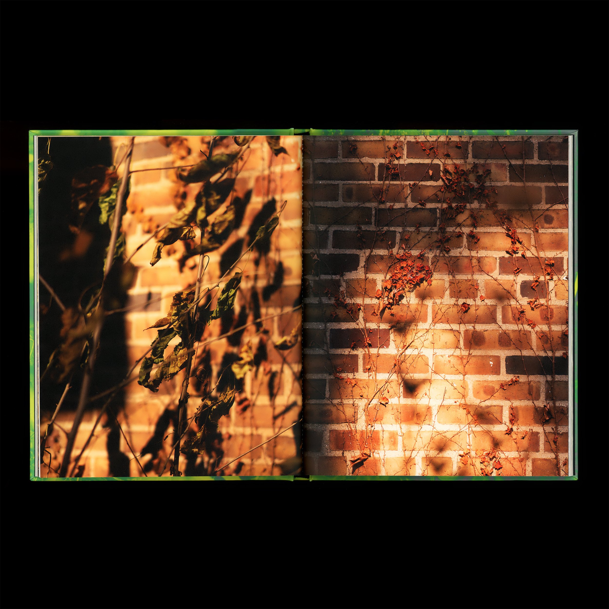 To Be a Garden 09 square.jpg