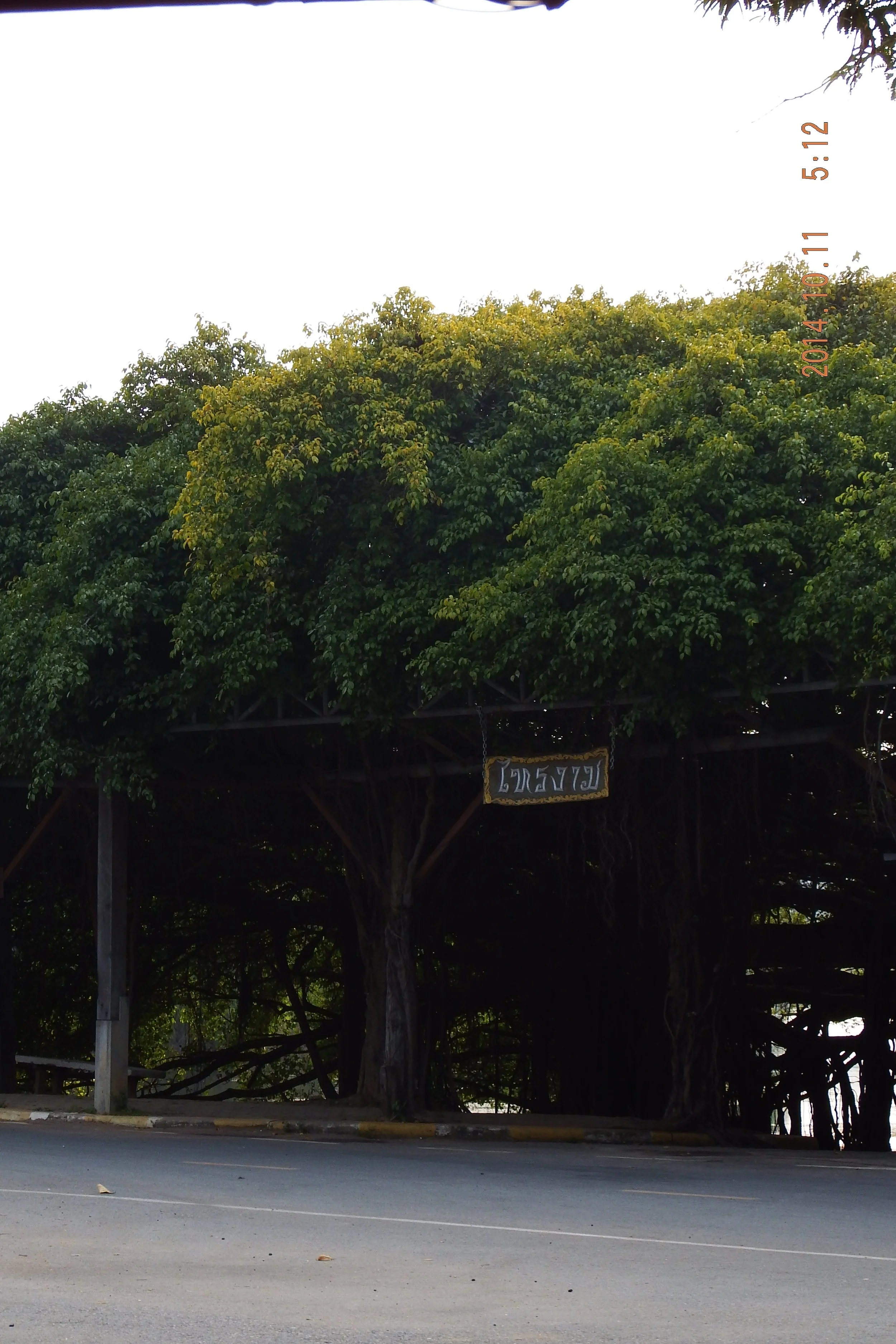 DSCF0514.jpg