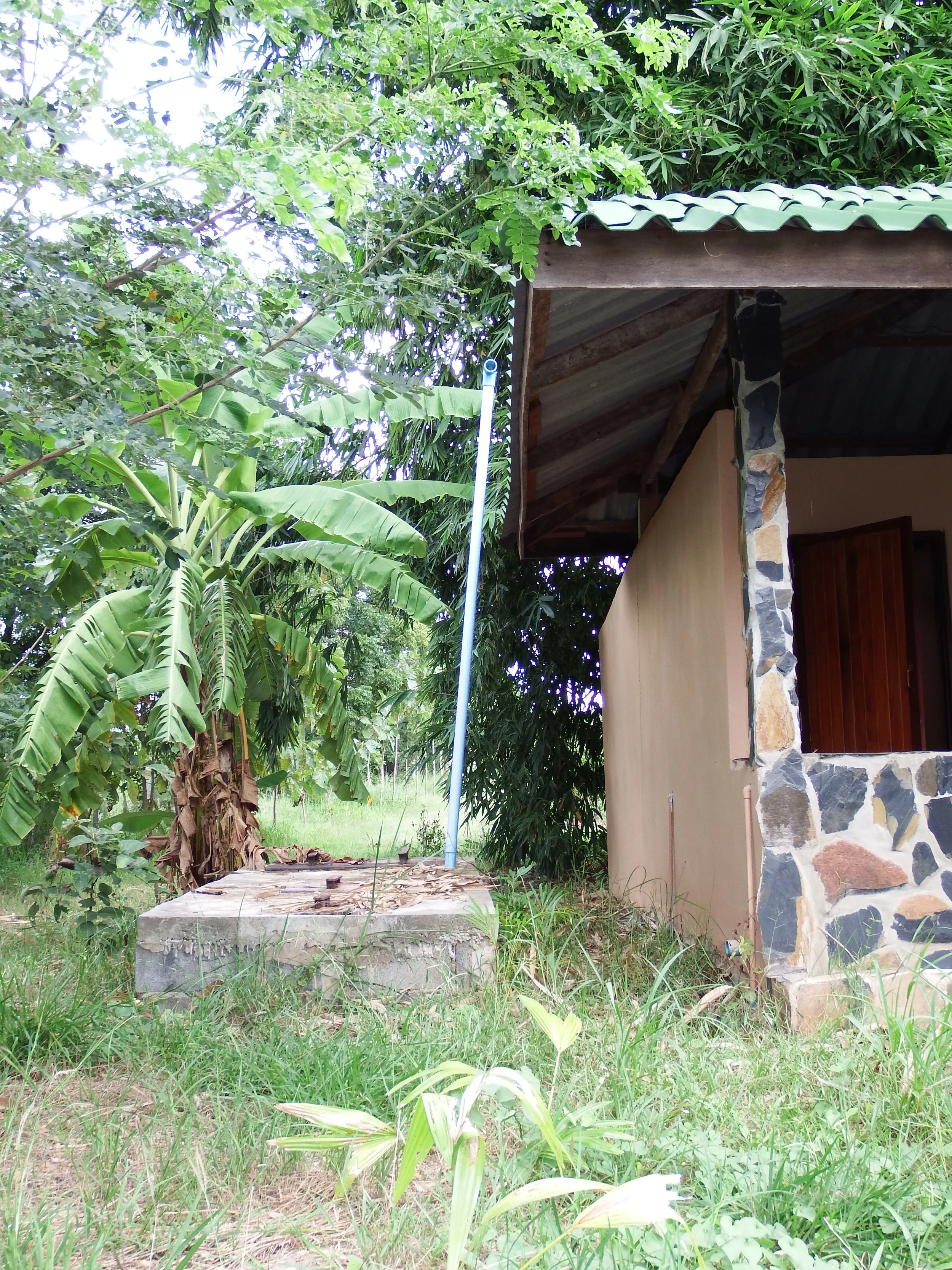 DSCF0921.jpg