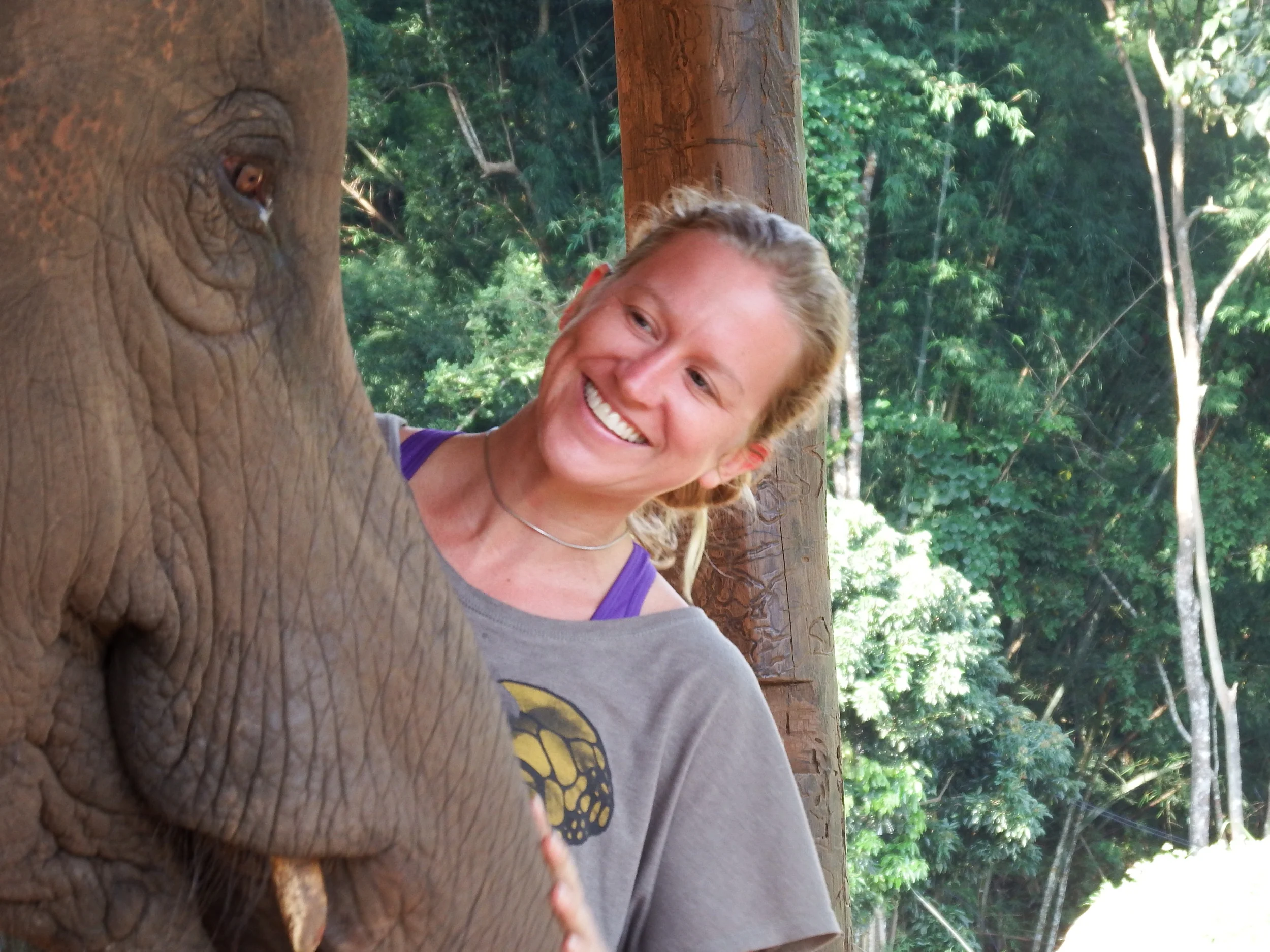 Patara Elephant Experience