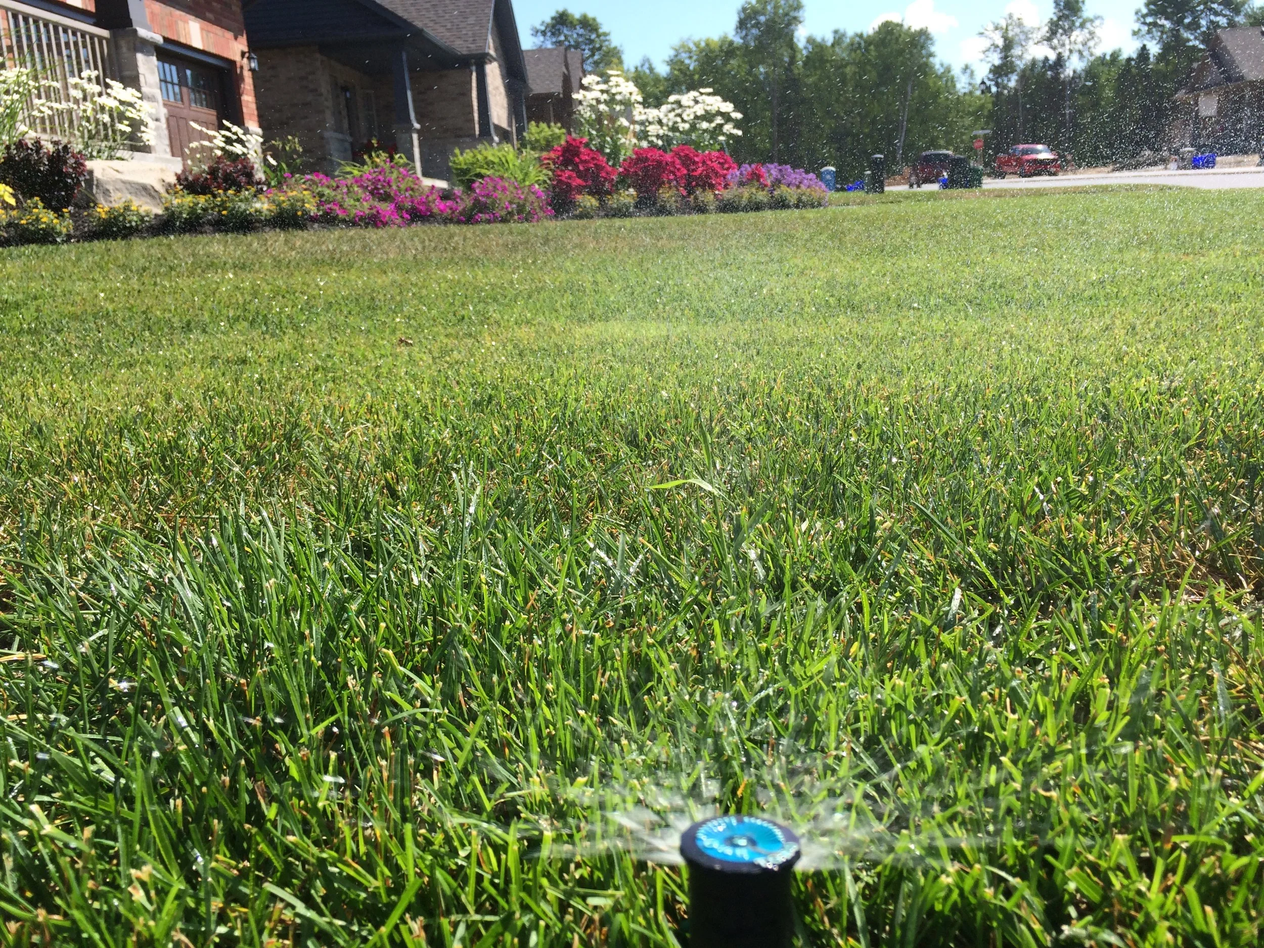 Save water and your lawn with smart irrigation