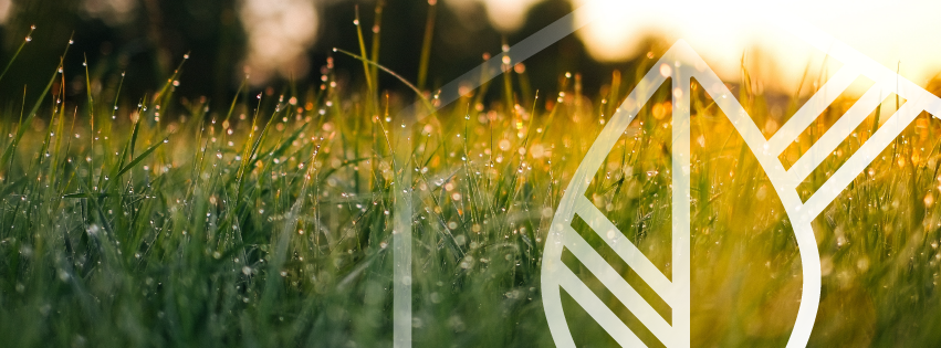 EarthElements_FBCover_Spring2.png