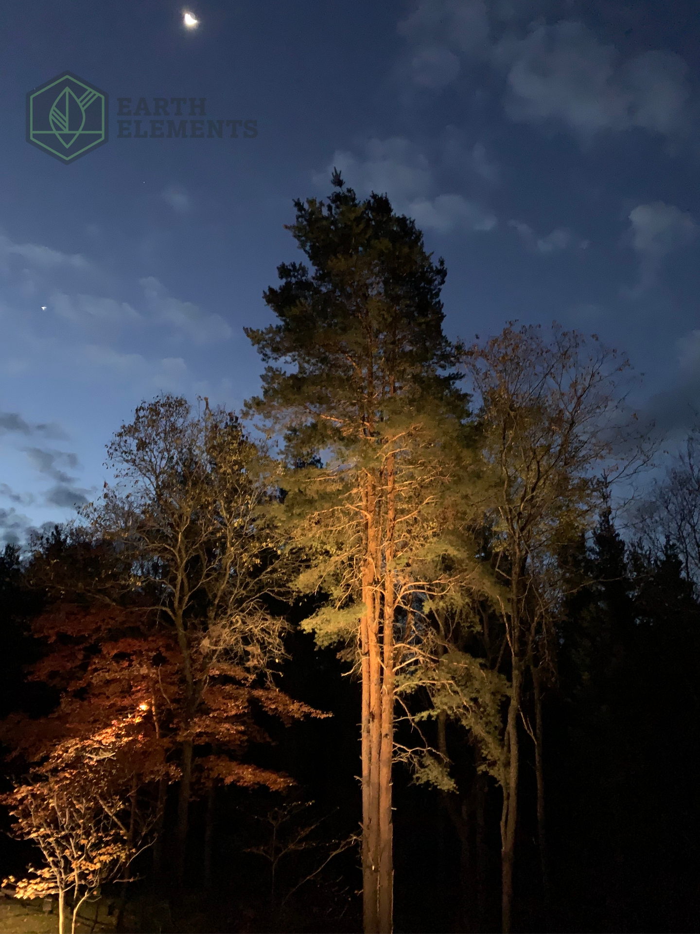 Get the Right Light for the Job