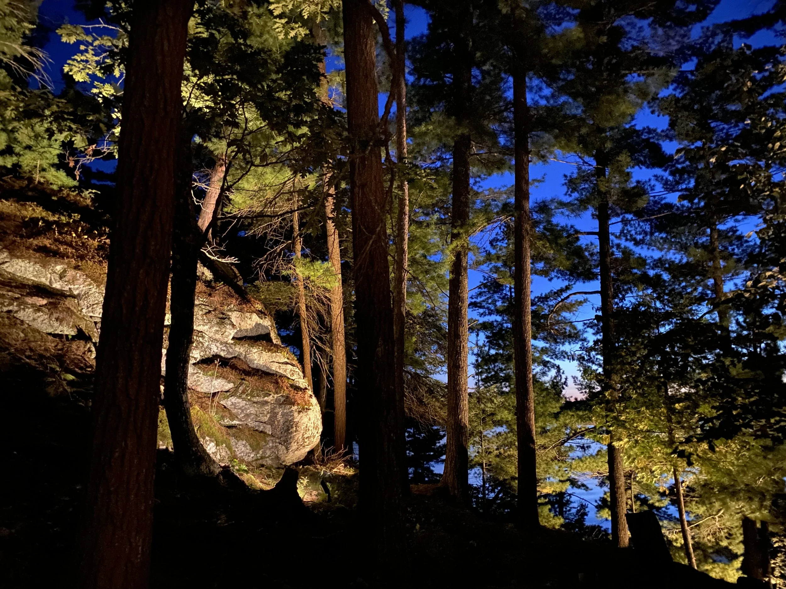 Earth Elements Forest Highlight Lighting, Muskoka Ontario.jpeg
