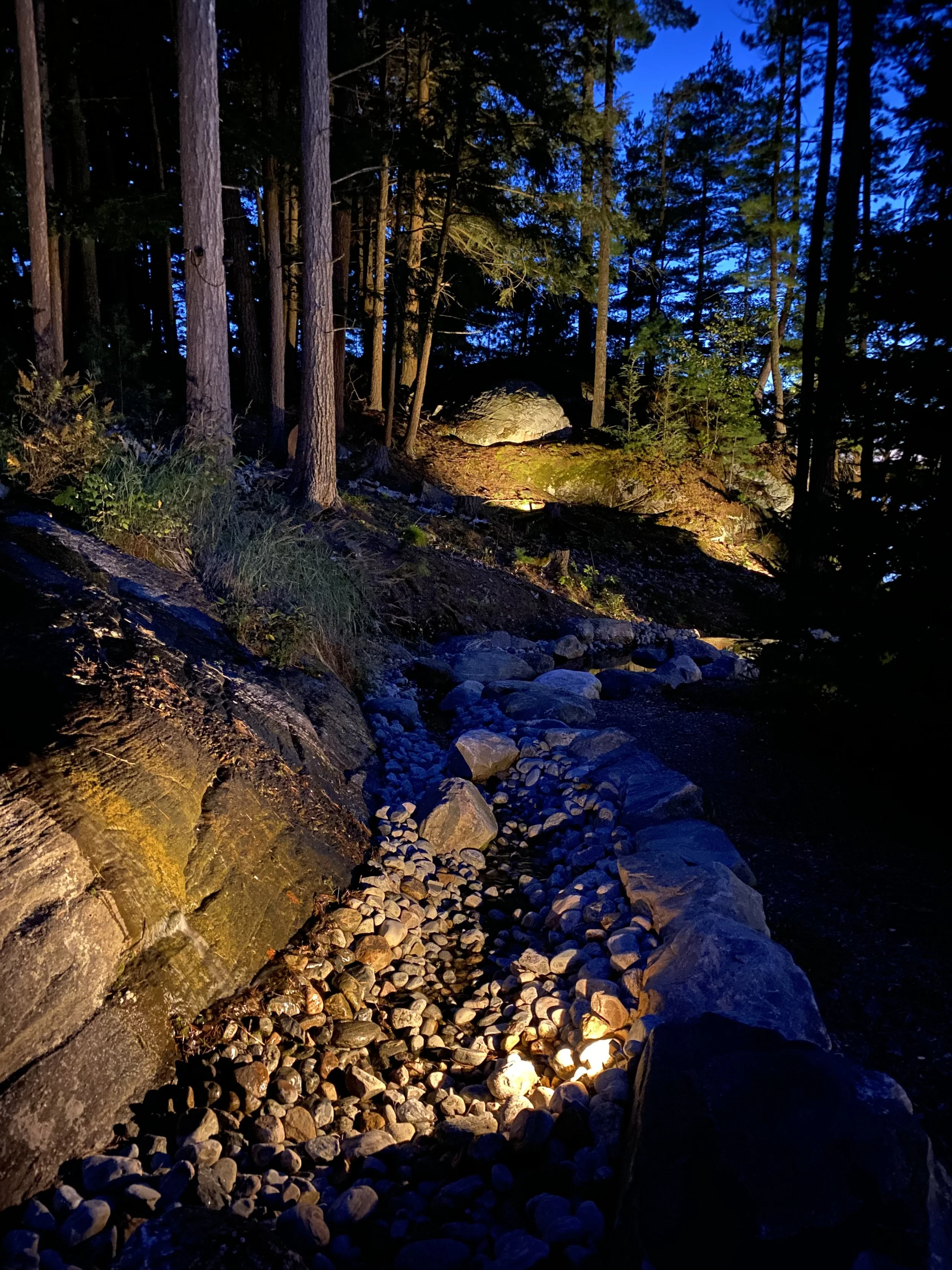 Earth Elements Landscape Lighting, Rosseau, Ontario.jpeg