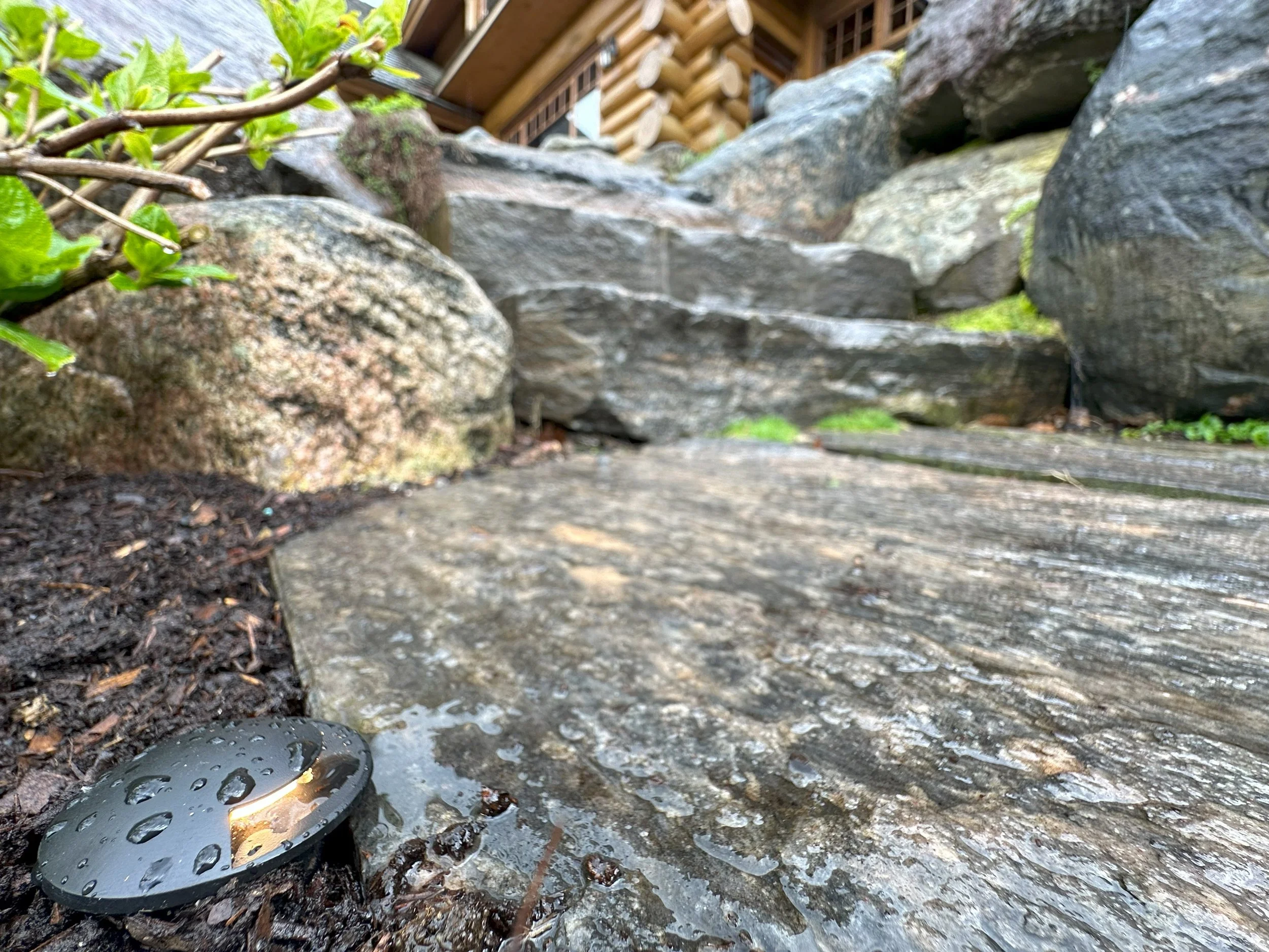 Earth Elements Unique Lighting Designs, Muskoka Ontario.jpeg