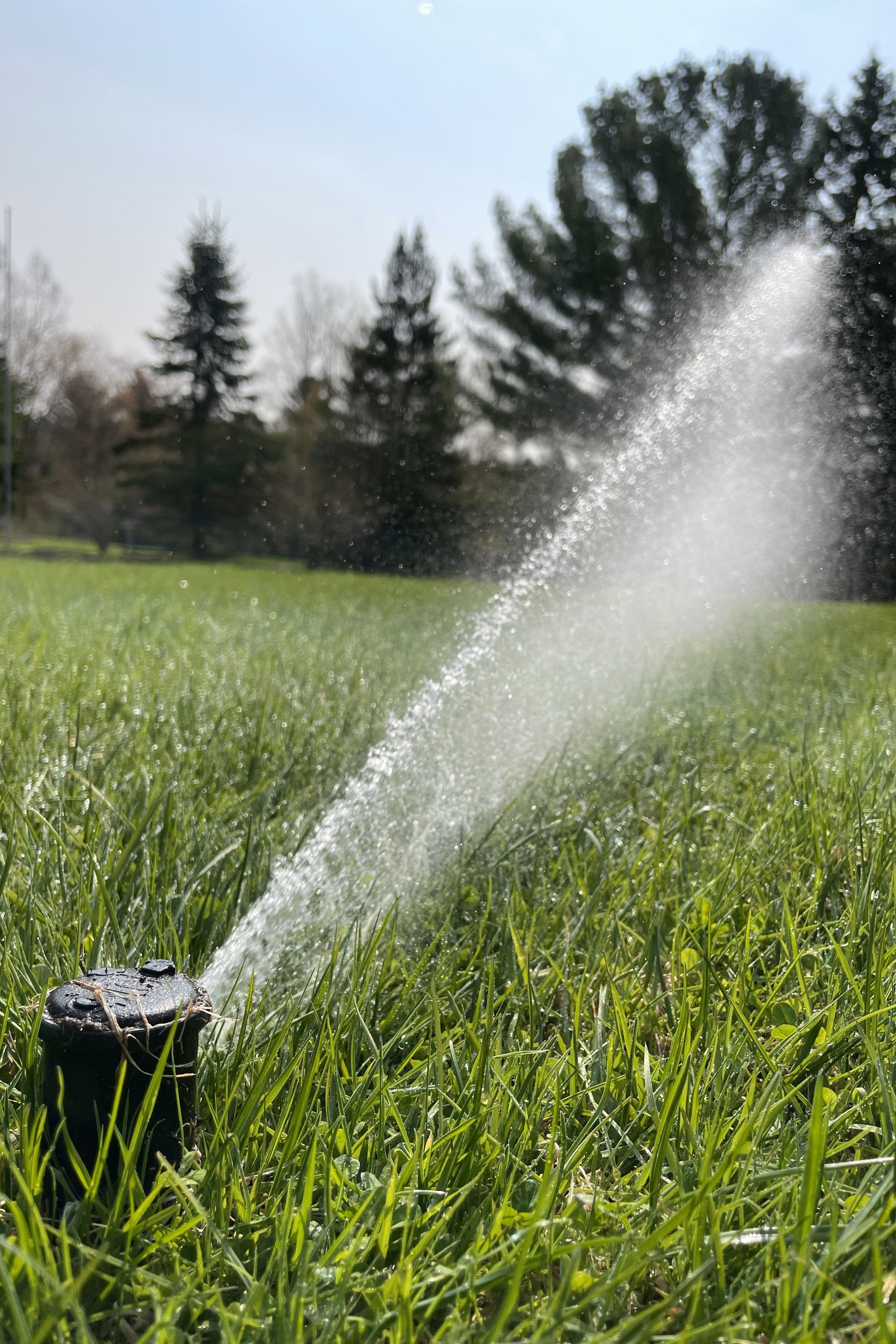 Earth+Elements+Irrigation+Turf+Rotor%2C+Muskoka+Ontario.jpg