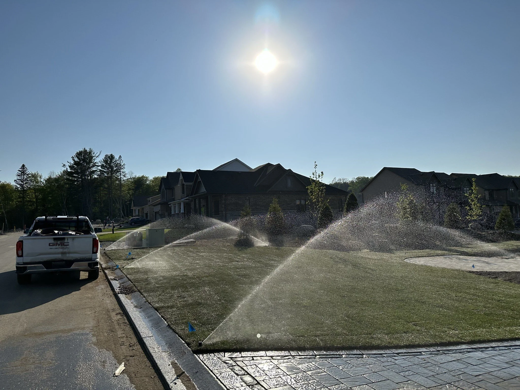 How to Choose the Right Irrigation Company for Your Landscape: A Guide to Water Conservation and Proper Water Distribution