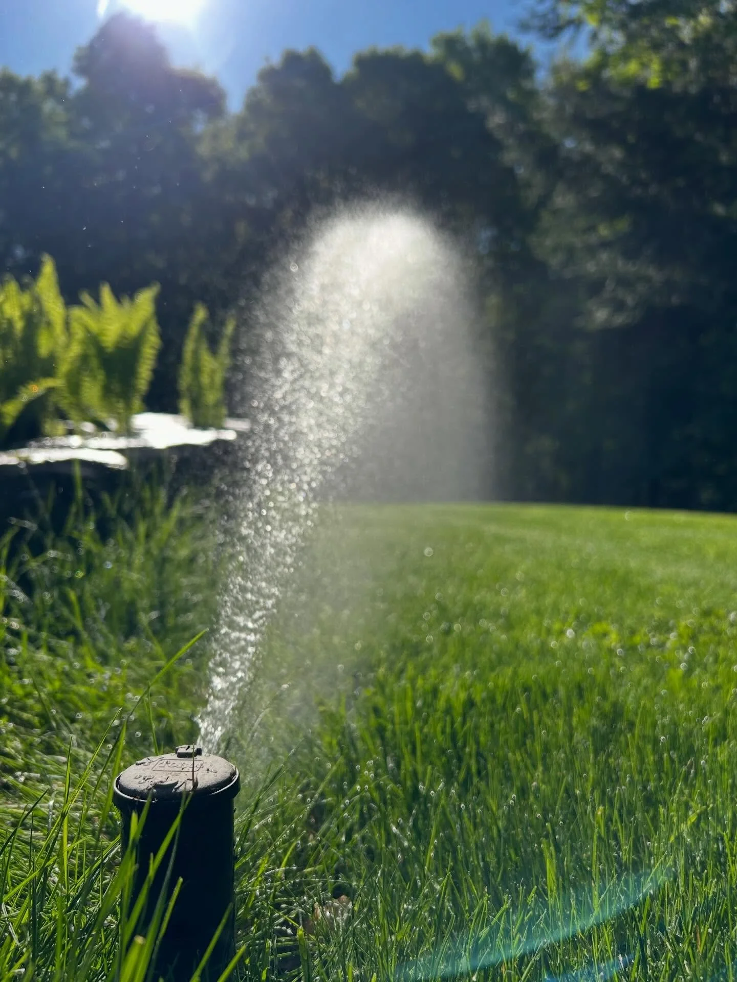 We&rsquo;re getting close.

While winter is still lingering across Muskoka, the shift to spring is underway. With a couple more weeks of melt ahead, we&rsquo;re preparing to bring your landscapes back to life.

Irrigation start-up booking confirmatio