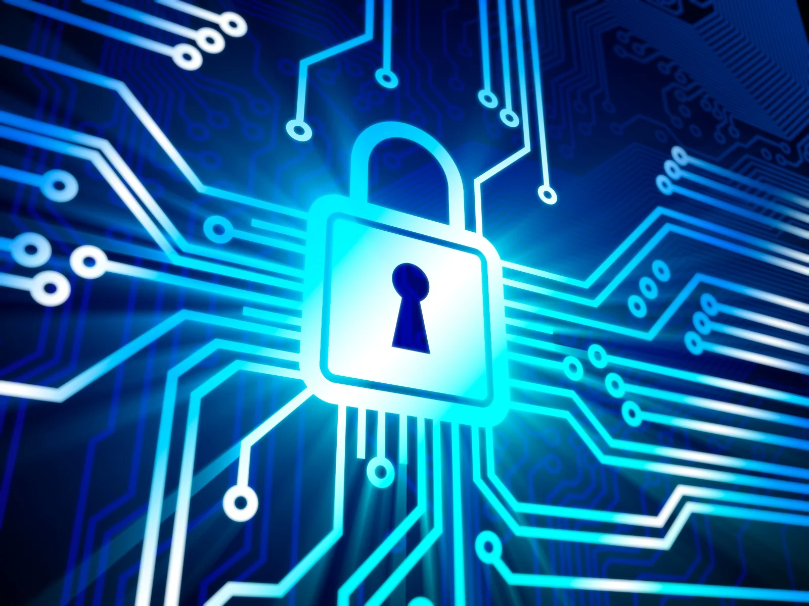 privacy-policy-header.jpg