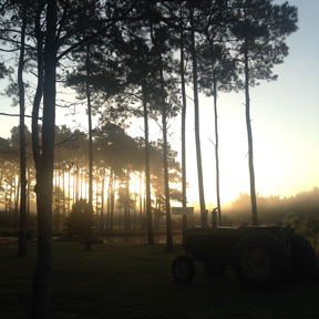 IMG_Farm-01.jpg