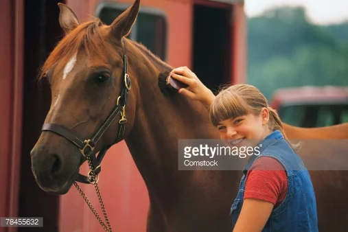 Family Homesteading Series – Animal Husbandry, 10am – 12.30pm