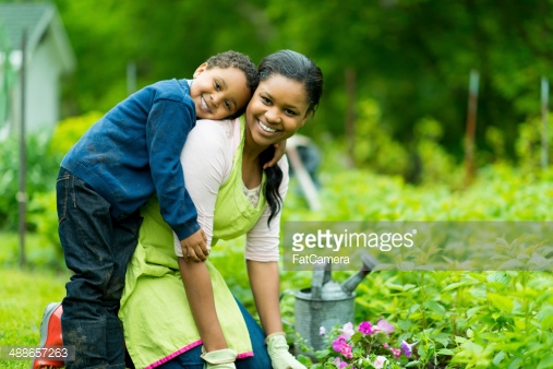 Family Homesteading Series – Sustainable Homestead Farming, 10am – 12pm