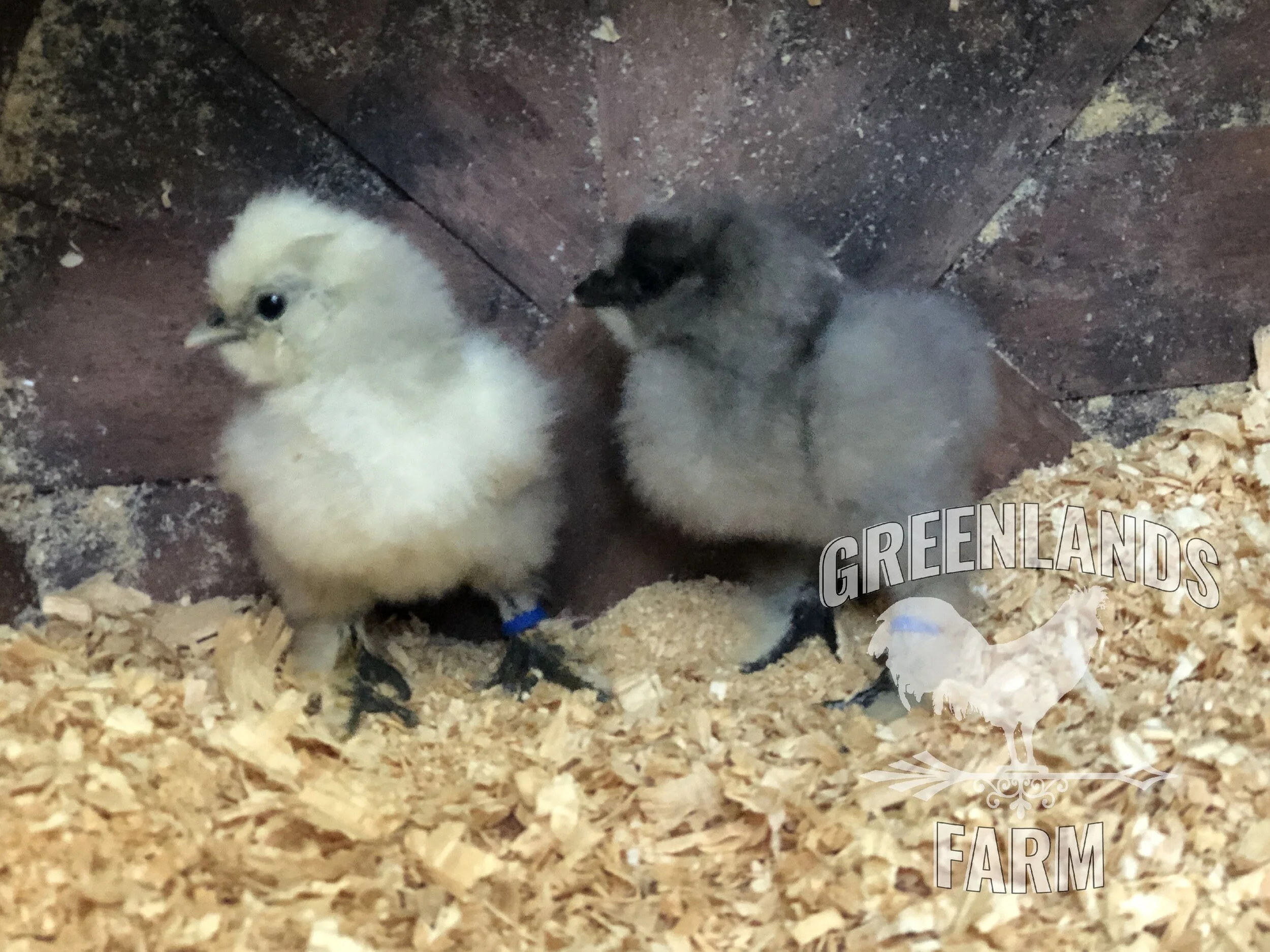 7B53C449-0B08-4DC1-BB0B-96AD6335377B