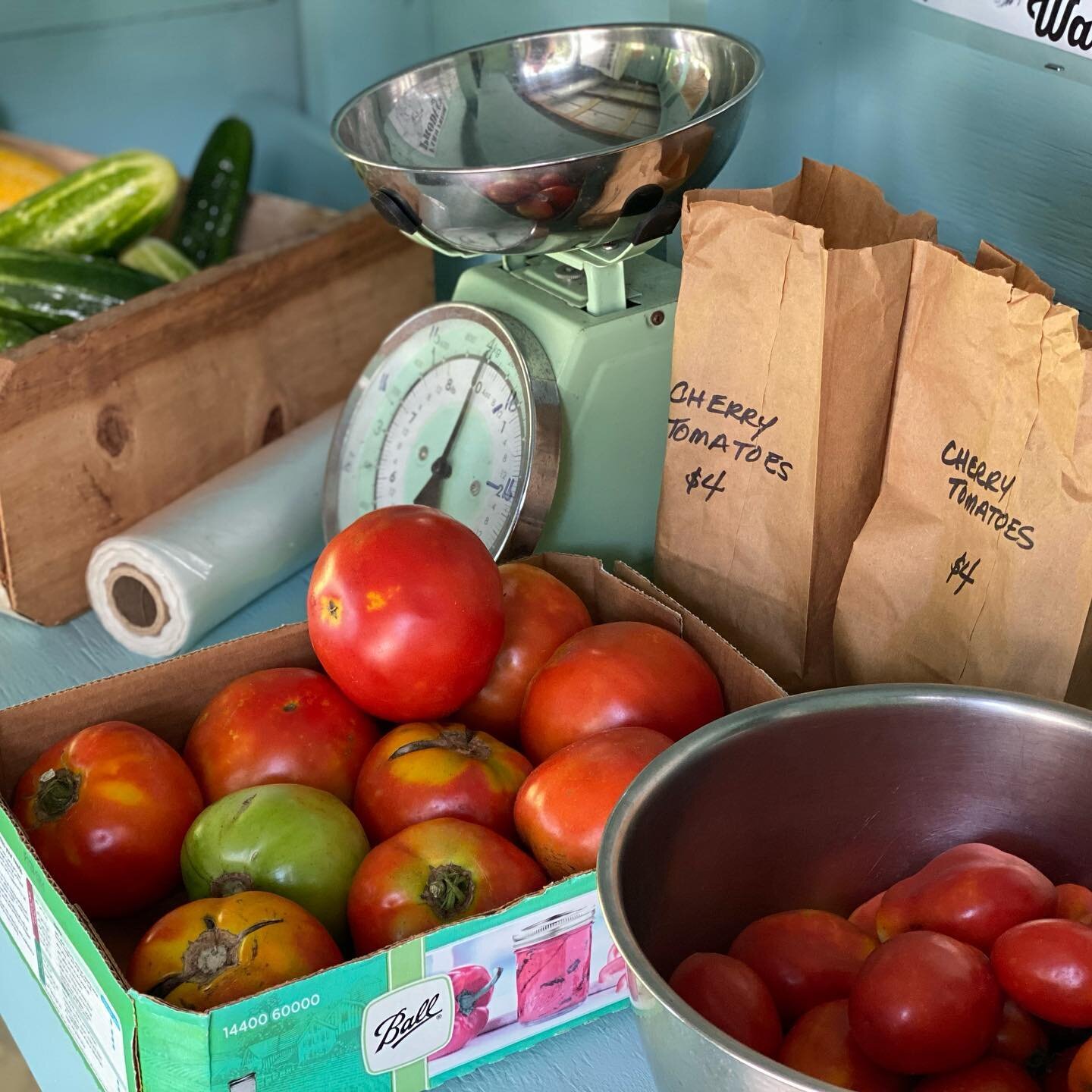 The shack is stocked full of some great organic vegetables, NEW Ros&eacute; wine jelly, other farm goods (jellies, pickles, honey), and eggs. Come visit us today and Saturday from 10-5 at 604 Midway Road SE, Bolivia. Unattended honor system: cash, Ve