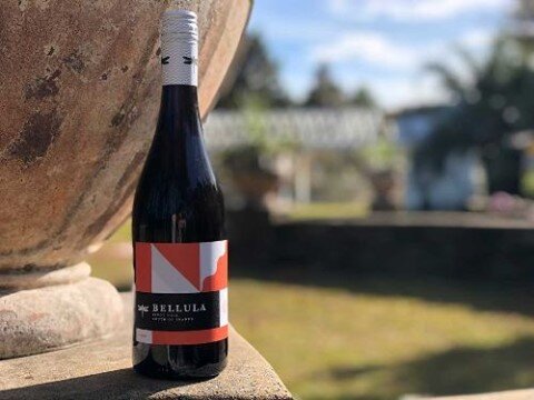 Shop with us Friday &amp; Saturday from 10a-5p at 604 Midway Road SE, Bolivia. The weather has me wanting a red but chilled: this is one of my favorite French Pinot Noirs to chill paired with tacos (which I just ate!). It's sustainably farmed with an