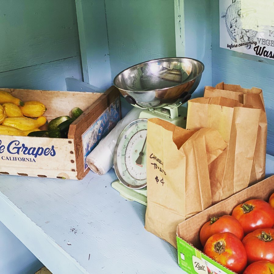 Beautiful veggies in the farm stand today and Saturday, 10a-5p at 604 Midway Road SE, Bolivia. Come visit and shop our little shack! #farmstand #farmmarket #greenlandsfarm