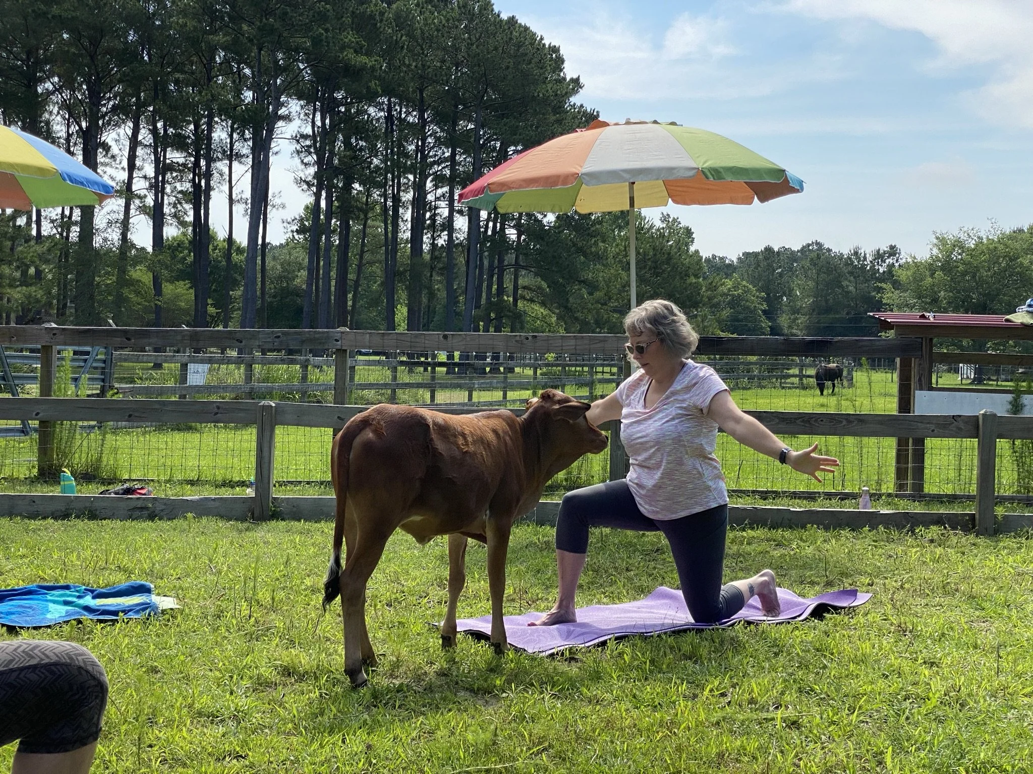 Farm Yoga - October