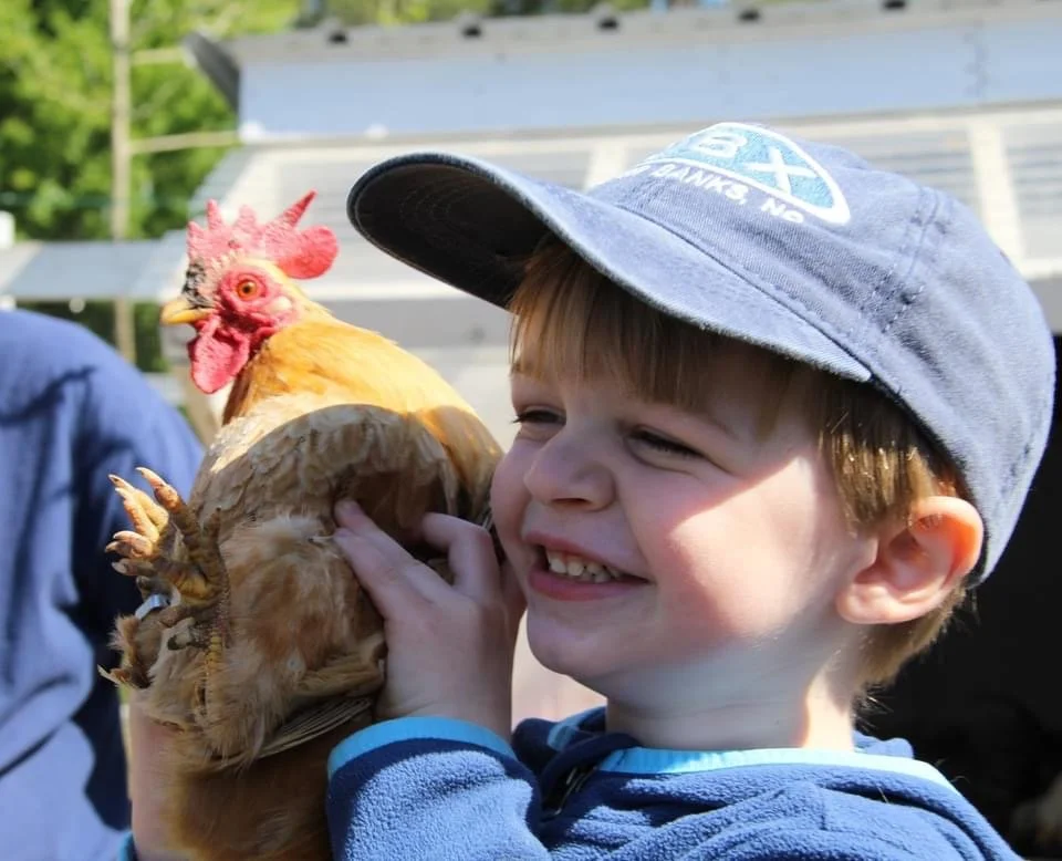 Community Farm Tour - Open Farm Day