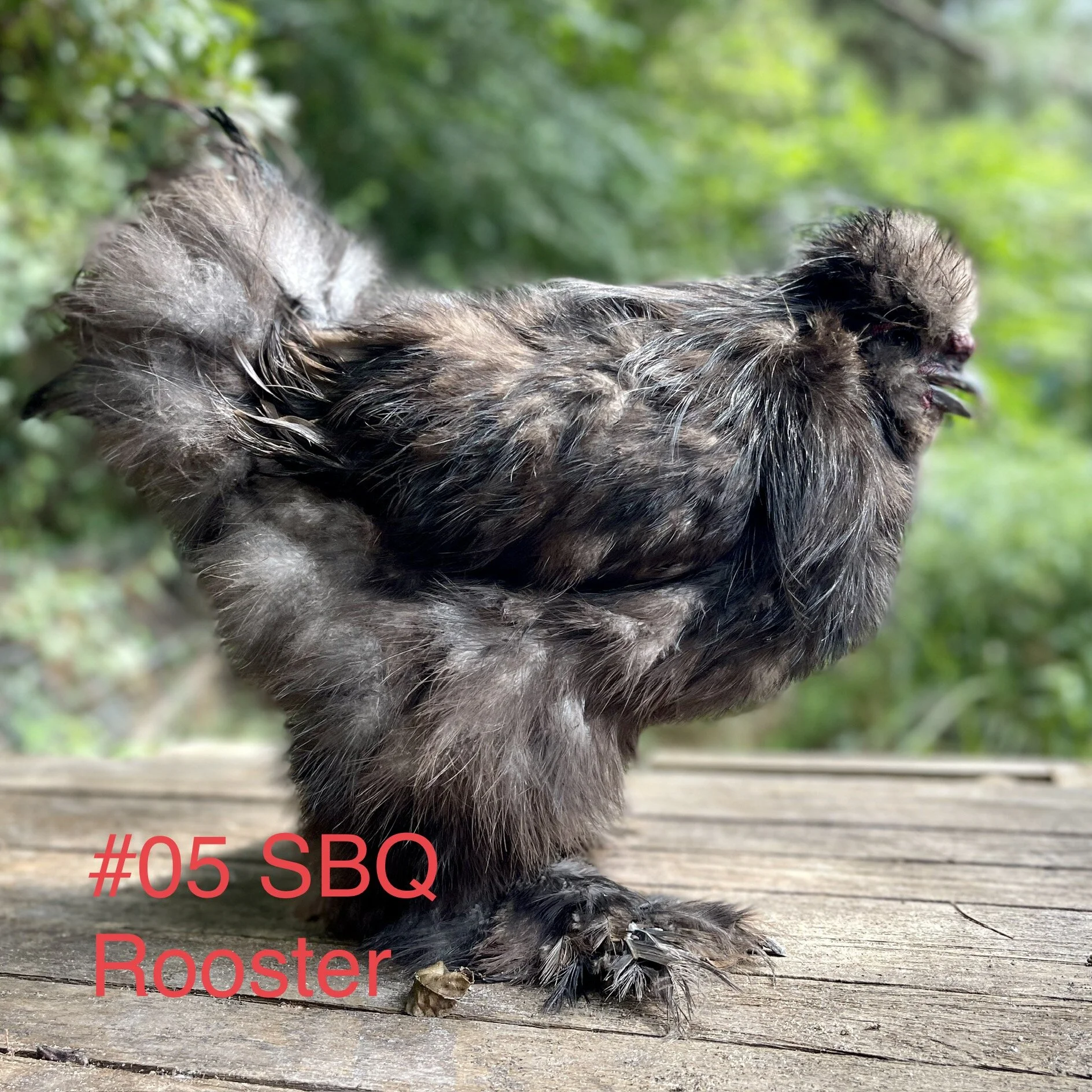 33151048-3272-4D3C-9871-1944FF0E6A95