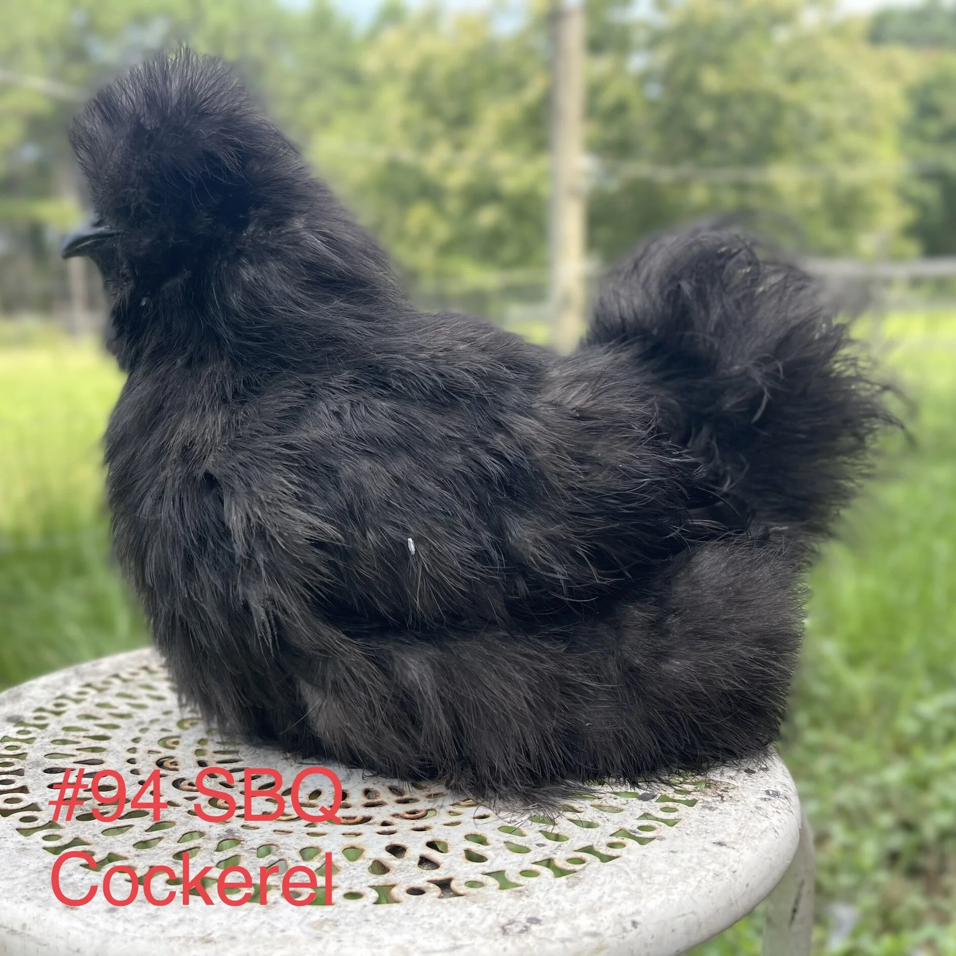 F64A0B5A-E5F8-4C82-8AB9-ACA703DCA7BD