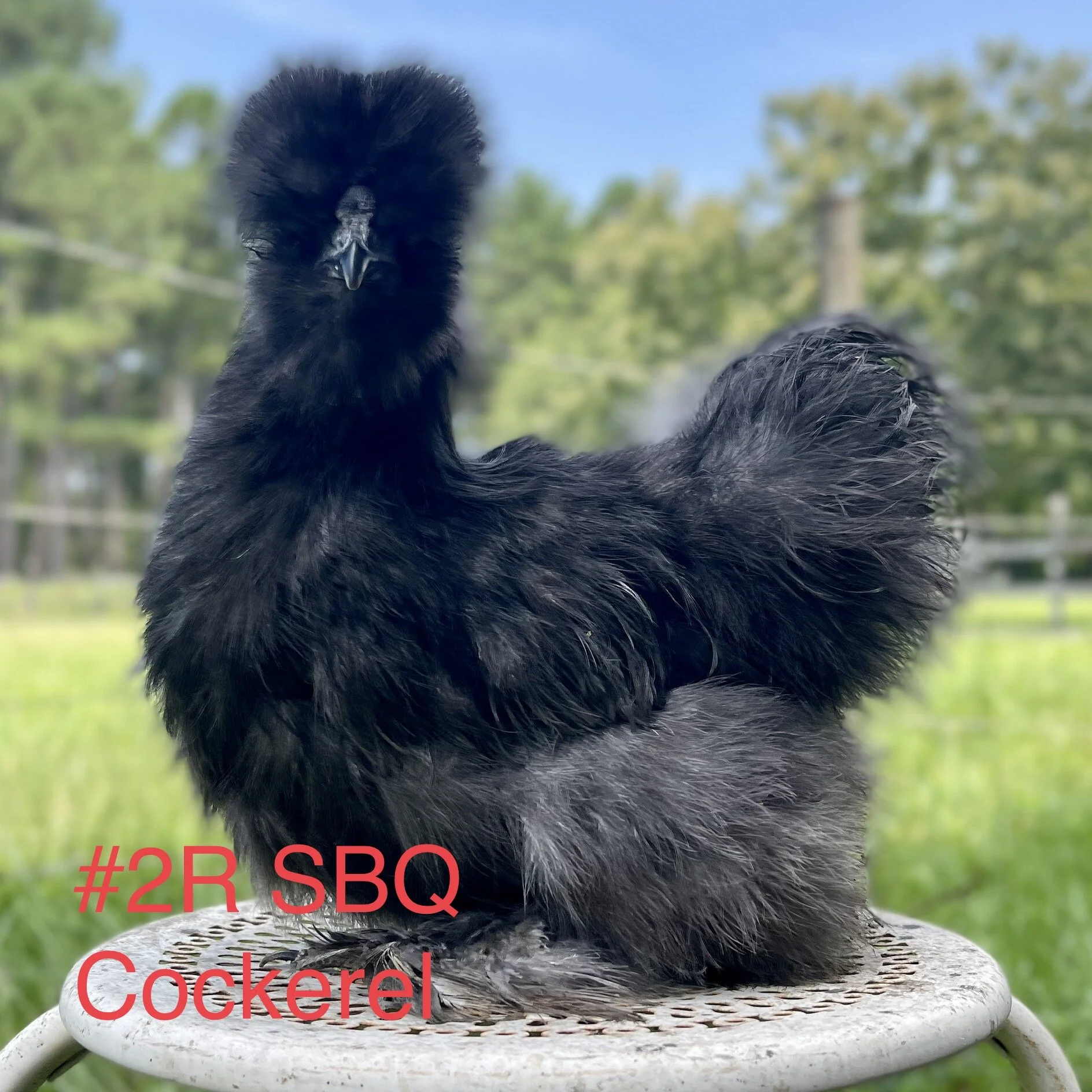 0DF2D81E-9B12-4571-9756-3F82964D3B5C